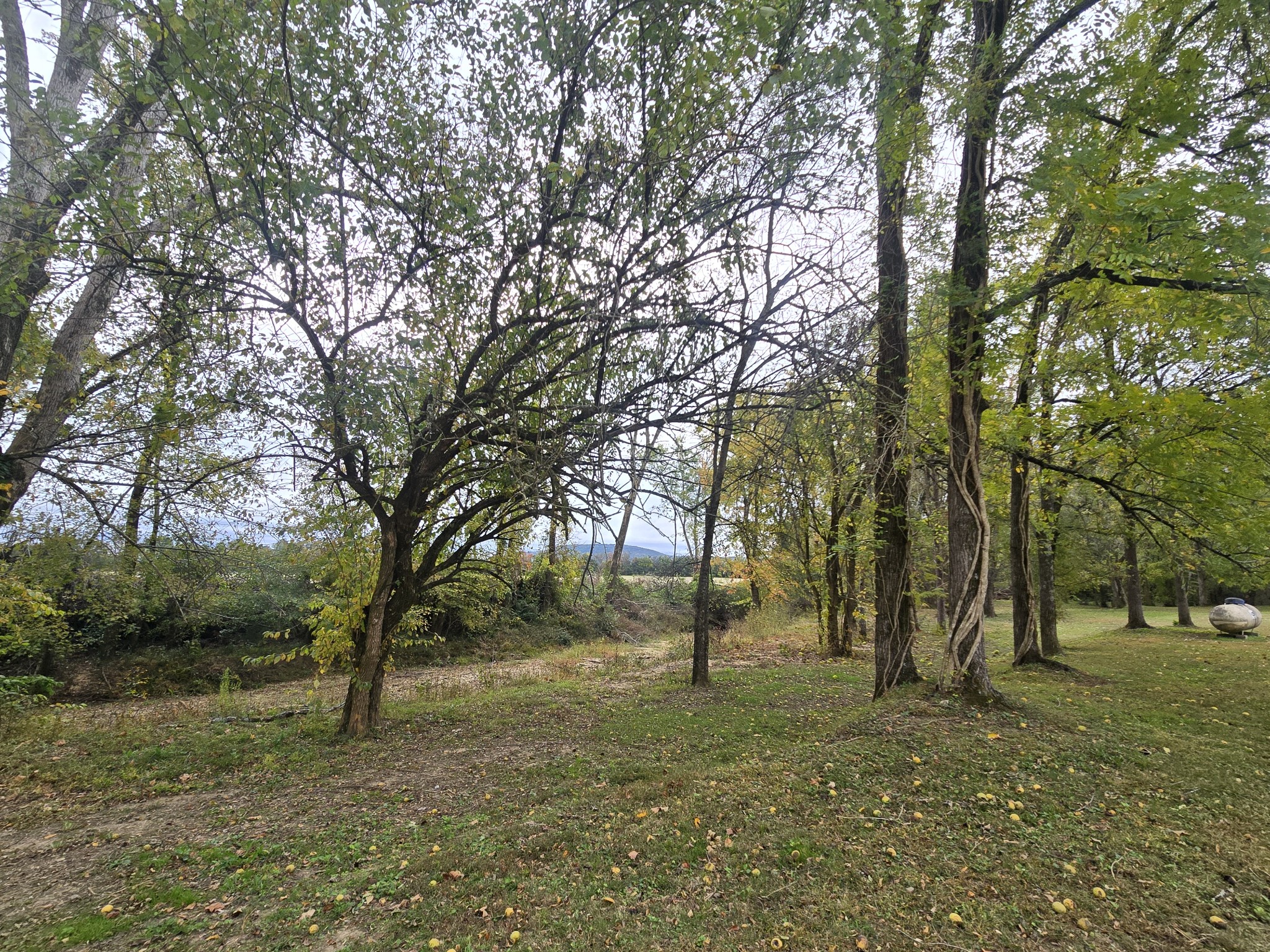 774 Sherrell Road Hillsboro, TN 37342 - Photo 16 of 70