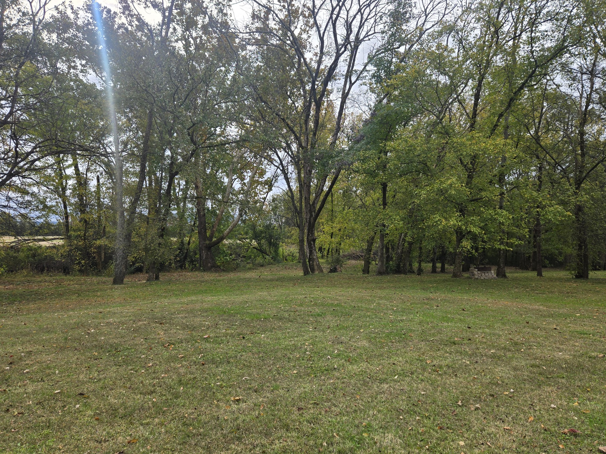 774 Sherrell Road Hillsboro, TN 37342 - Photo 19 of 70