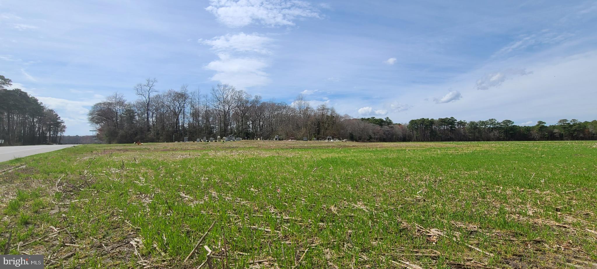 0 Sims Road Bishopville, MD 21813 - Photo 3 of 5 Parcel is in back of front acreage.