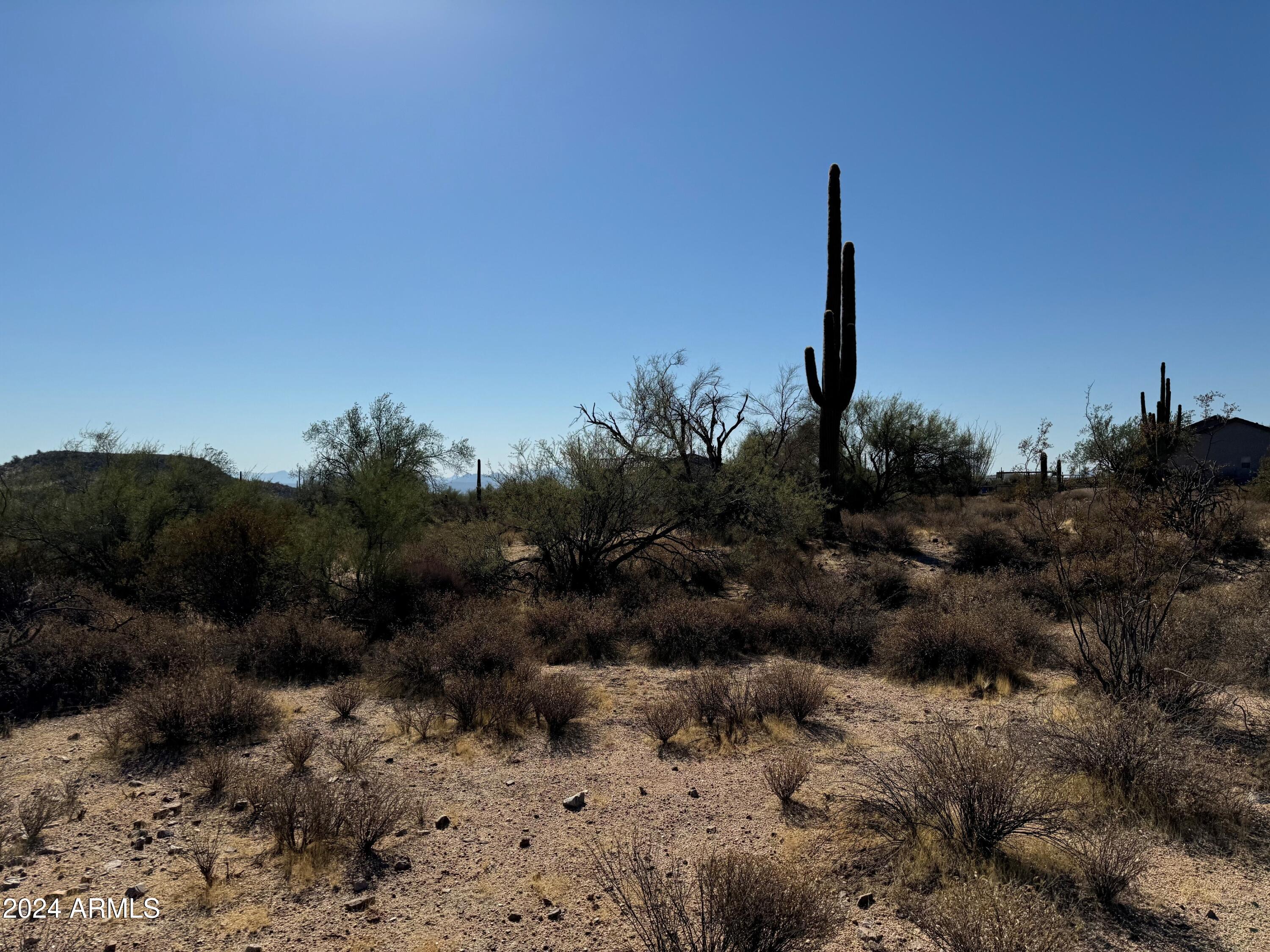 16800 East Bajada Drive Rio Verde, AZ 85263 - Photo 4 of 22 a view of a dry yard with a tree
