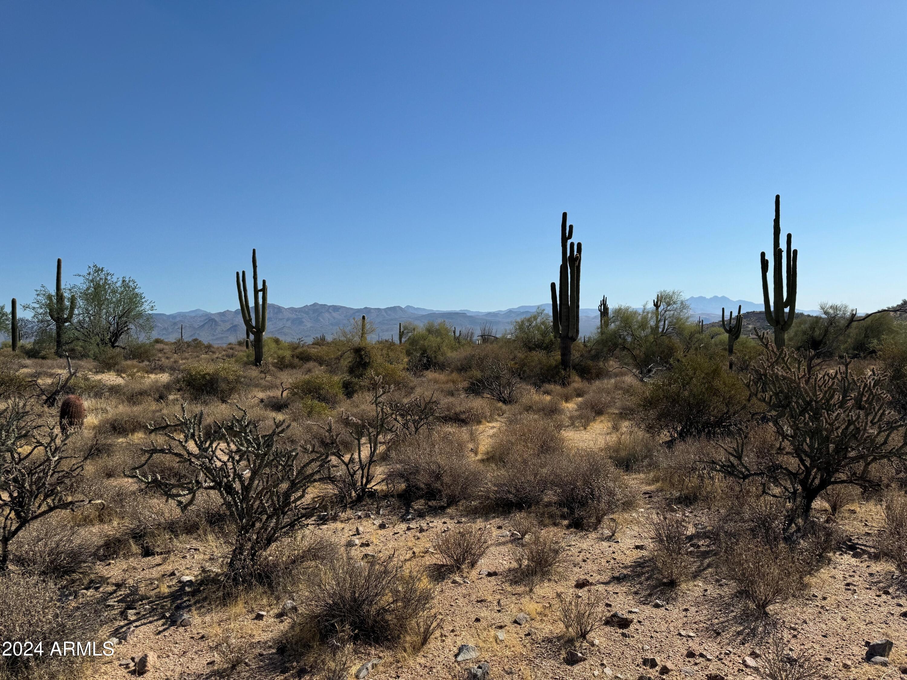 16800 East Bajada Drive Rio Verde, AZ 85263 - Photo 10 of 22 a view of a beach with a tree in the background