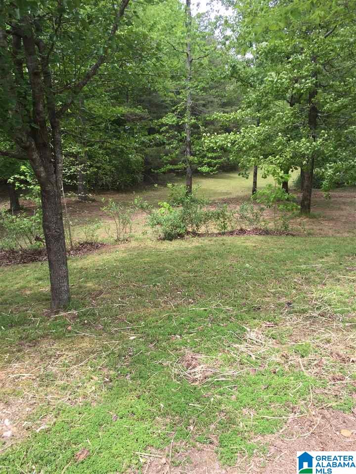 1446 Davidson Loop Oakman, AL 35579 - Photo 27 of 29