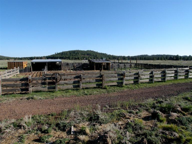 3123 North Spring Valley Road East Parks, AZ 86018 - Photo 18 of 31 Additional Photo
