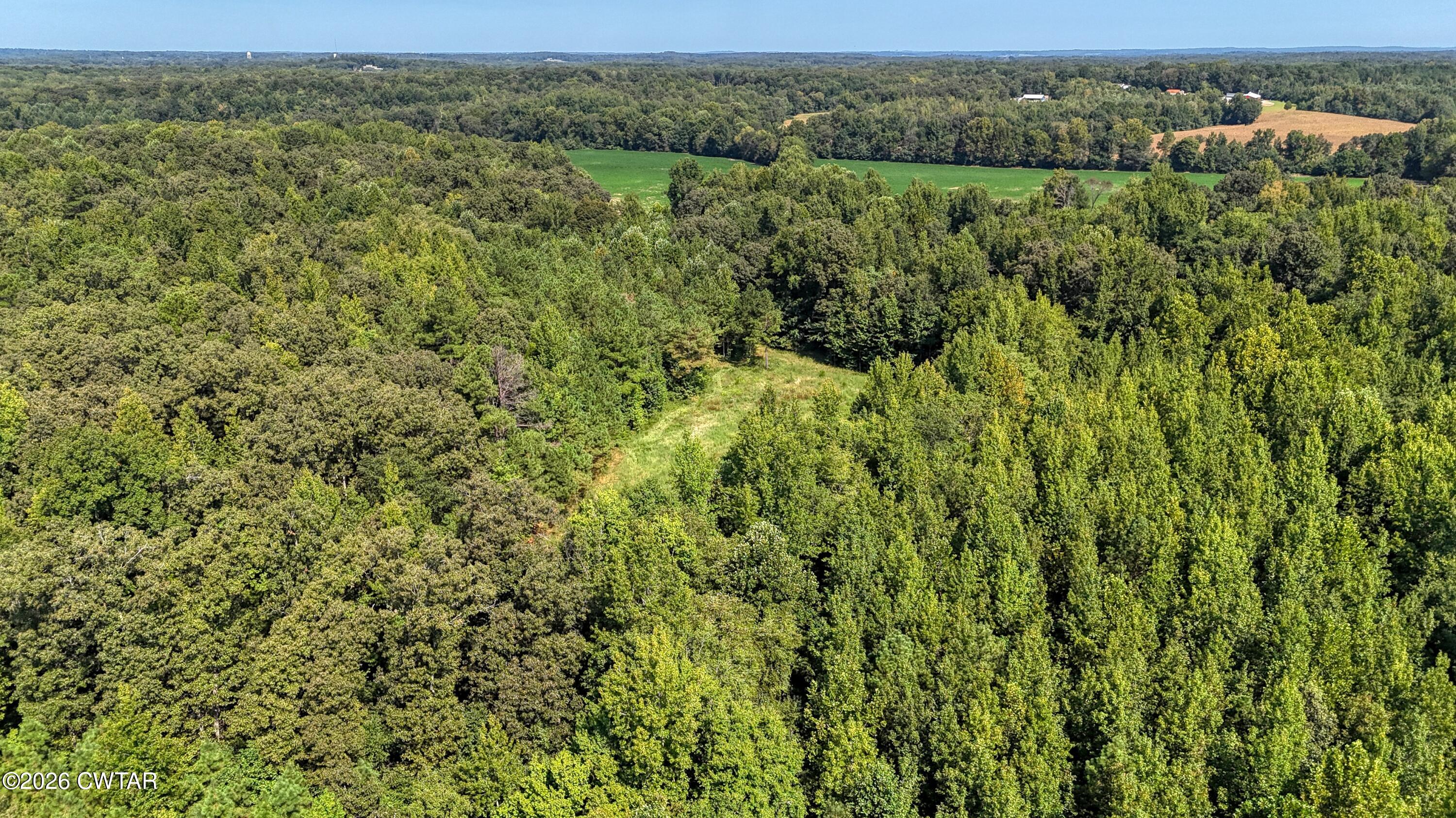 4349 Buena Vista Road Huntingdon, TN 38344 - Photo 54 of 68 DJI_20260825104139_0178_D