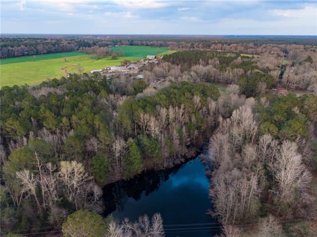 40045 Archie Wallace Road Franklinton, LA 70438 - Photo 3 of 9