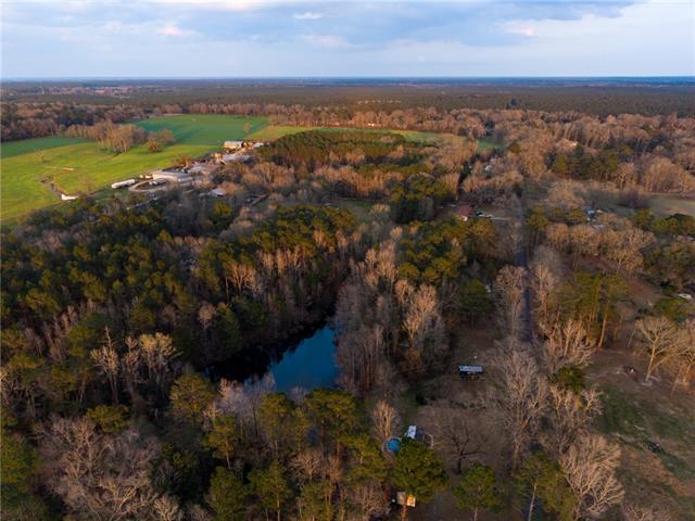 40045 Archie Wallace Road Franklinton, LA 70438 - Photo 8 of 9