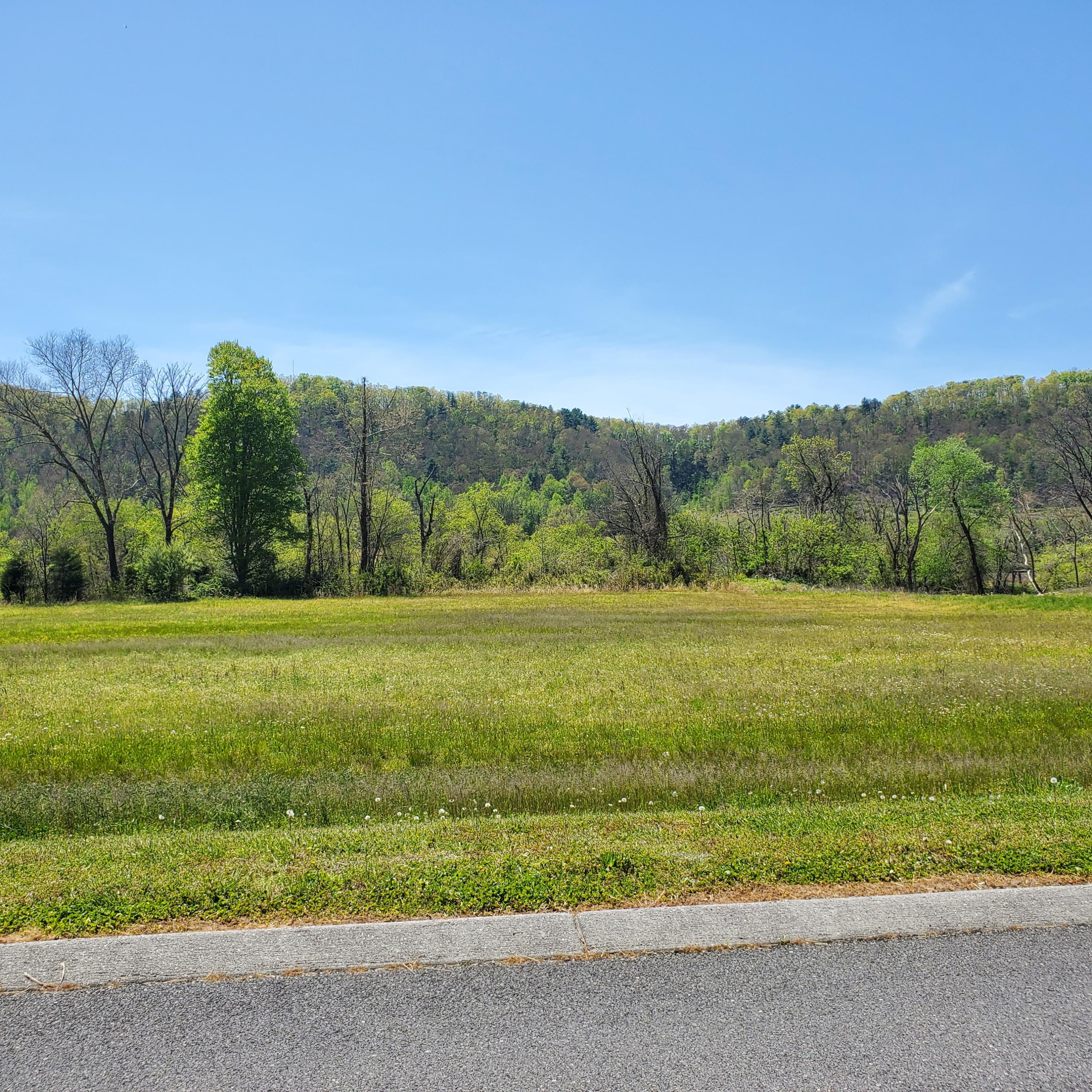 Lot 21 River Rapids Way, Unit 21 Del Rio, TN 37727 - Photo 14 of 32 14