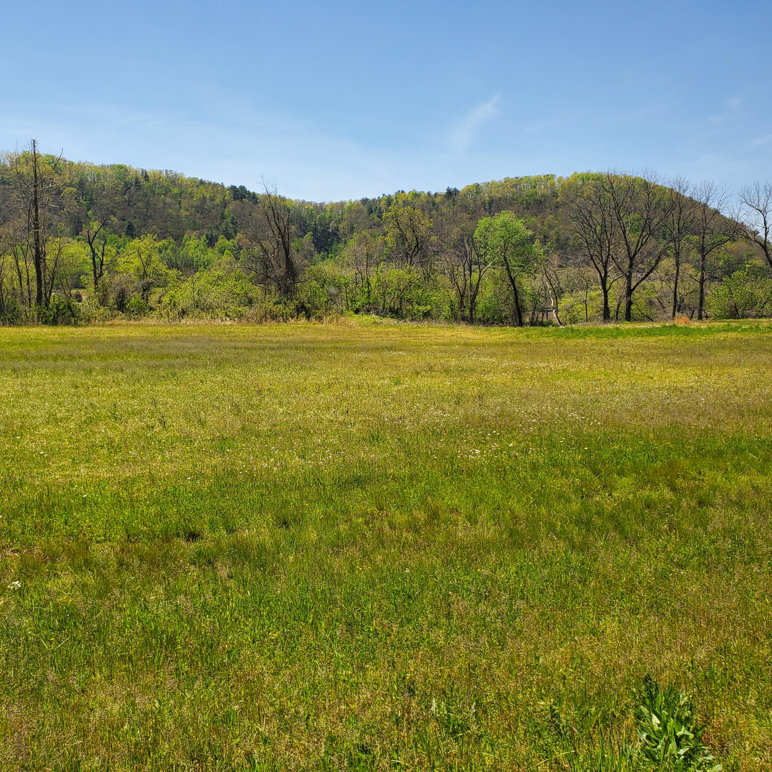 Lot 21 River Rapids Way, Unit 21 Del Rio, TN 37727 - Photo 17 of 32 17
