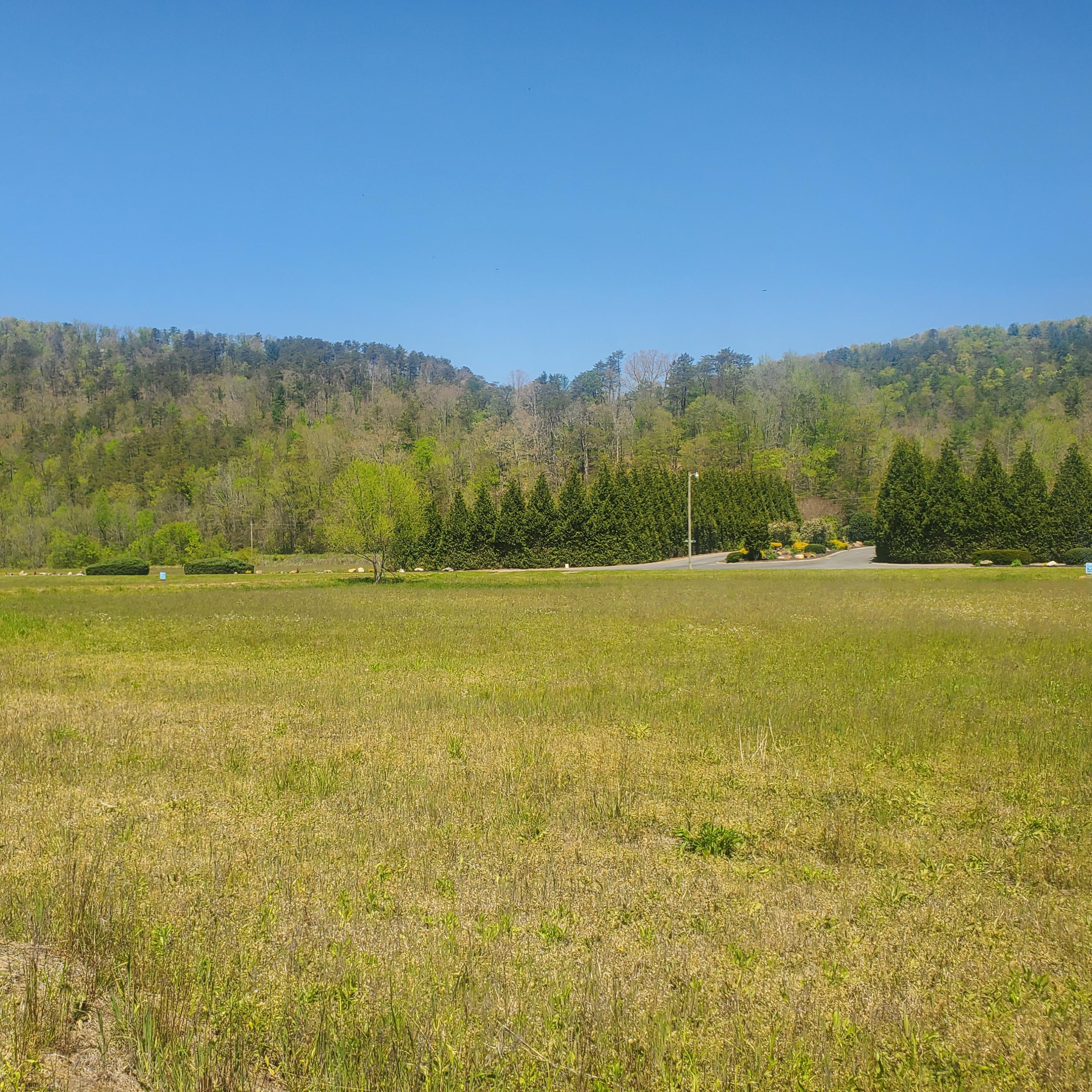 Lot 21 River Rapids Way, Unit 21 Del Rio, TN 37727 - Photo 19 of 32 19