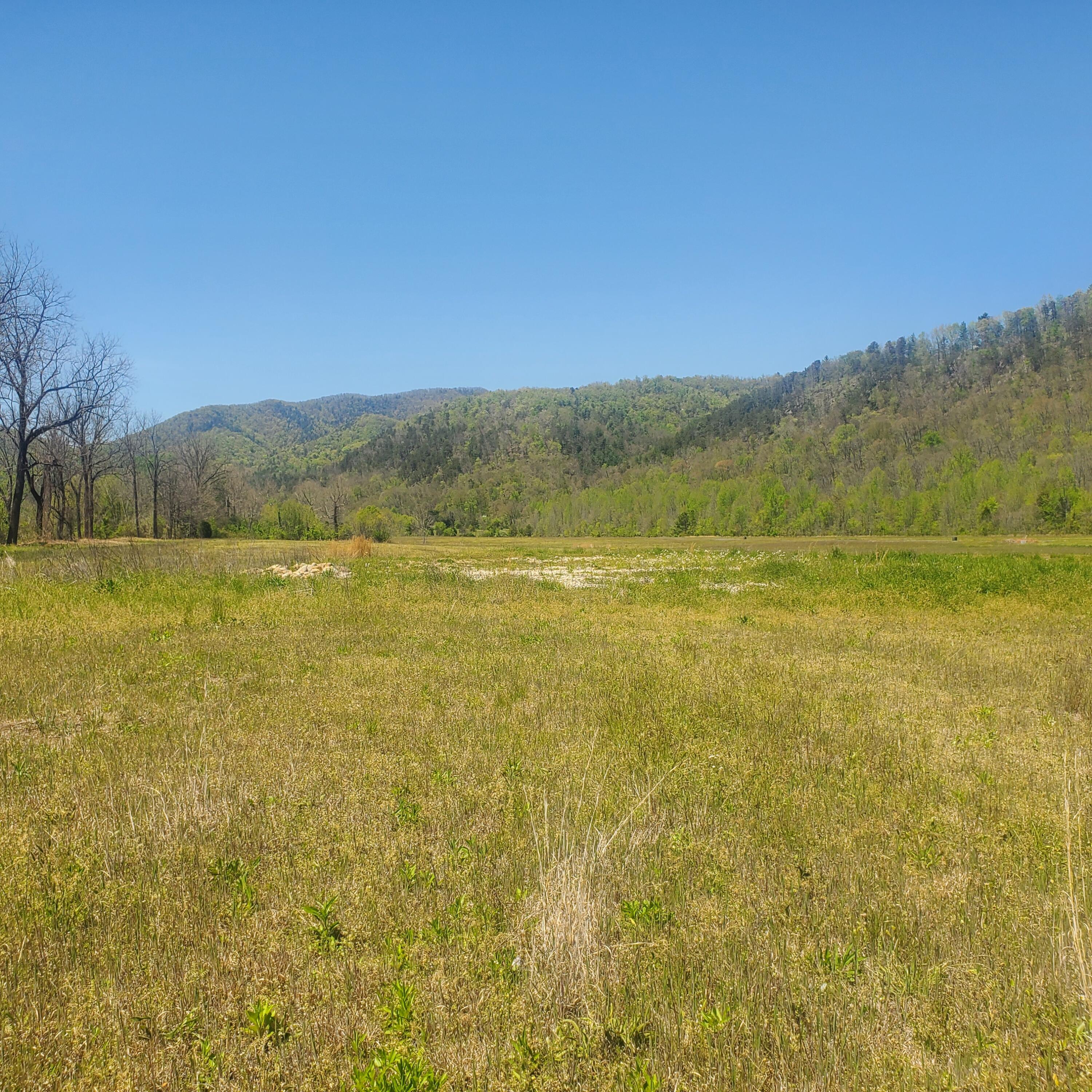 Lot 21 River Rapids Way, Unit 21 Del Rio, TN 37727 - Photo 20 of 32 20