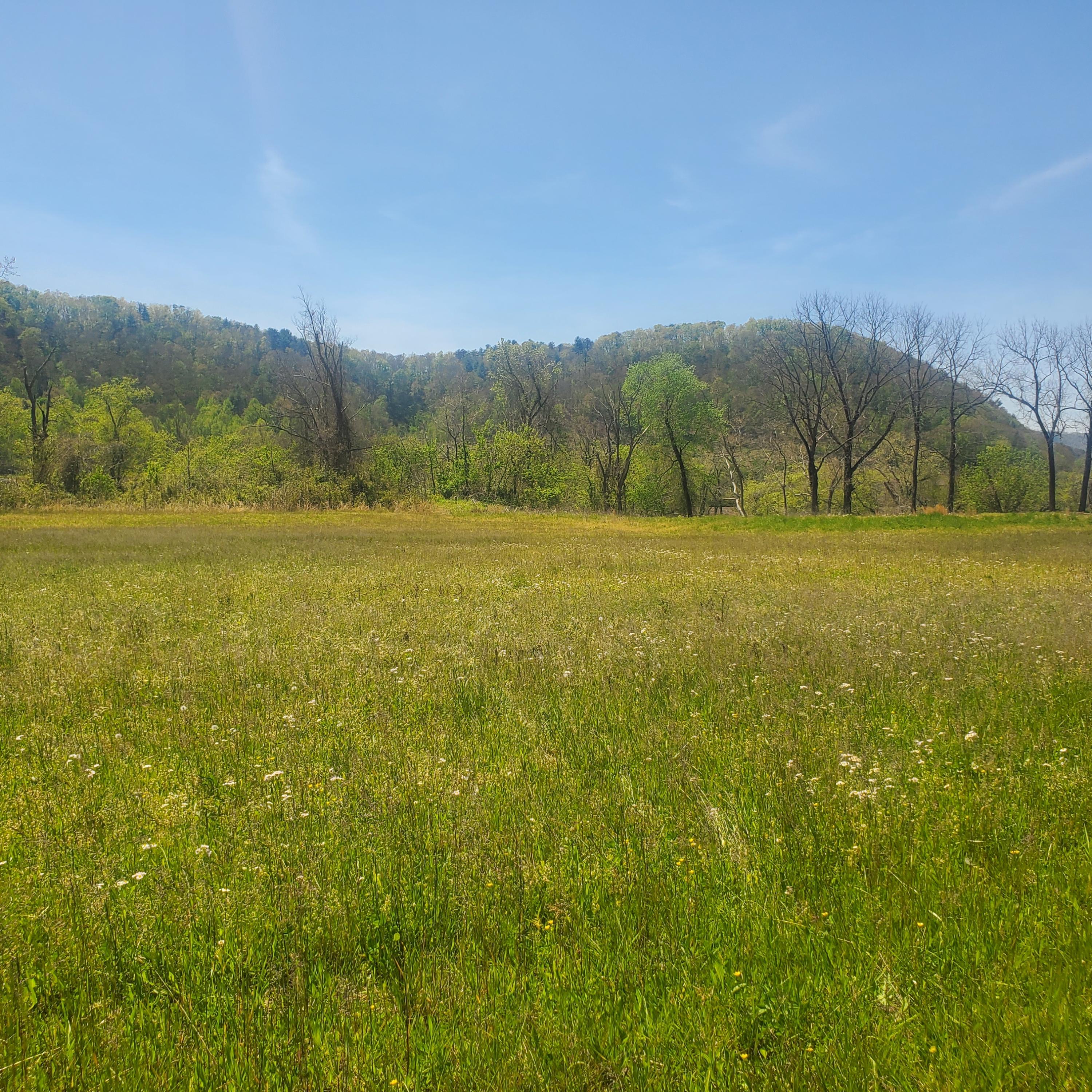 Lot 21 River Rapids Way, Unit 21 Del Rio, TN 37727 - Photo 22 of 32 22