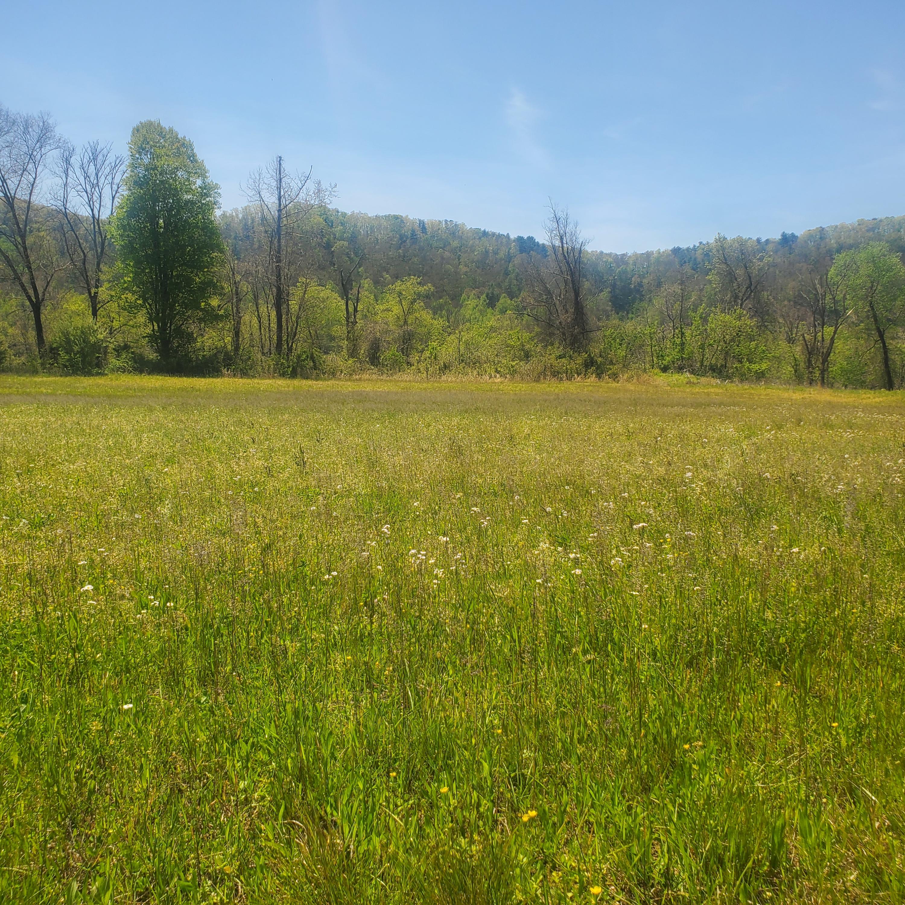 Lot 21 River Rapids Way, Unit 21 Del Rio, TN 37727 - Photo 23 of 32 23