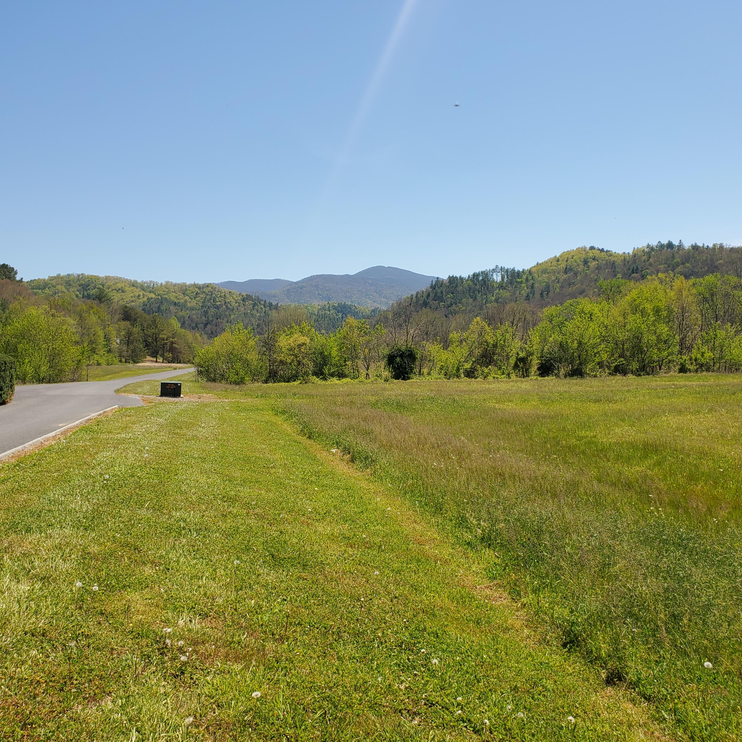 Lot 21 River Rapids Way, Unit 21 Del Rio, TN 37727 - Photo 3 of 32 3