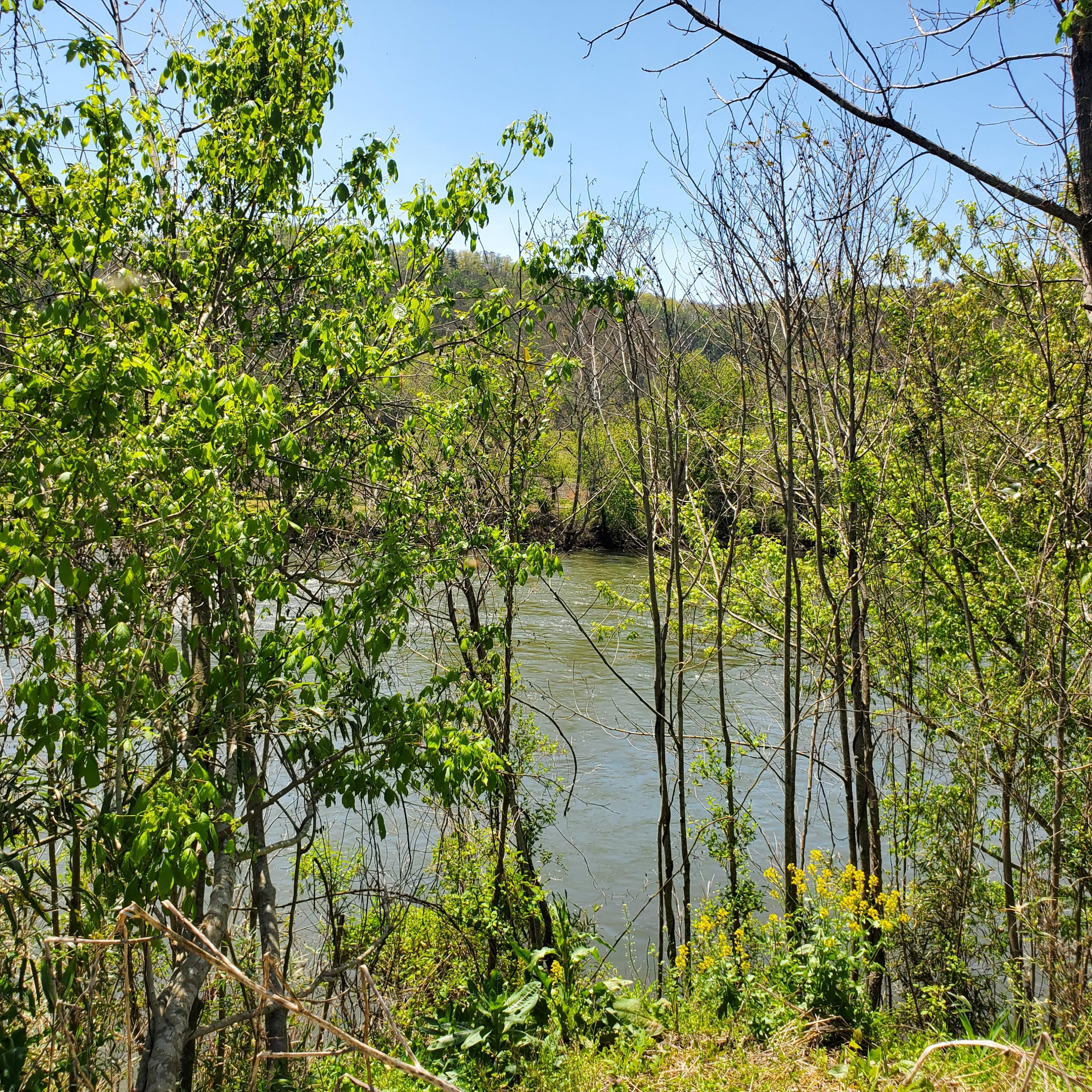 Lot 21 River Rapids Way, Unit 21 Del Rio, TN 37727 - Photo 4 of 32 4