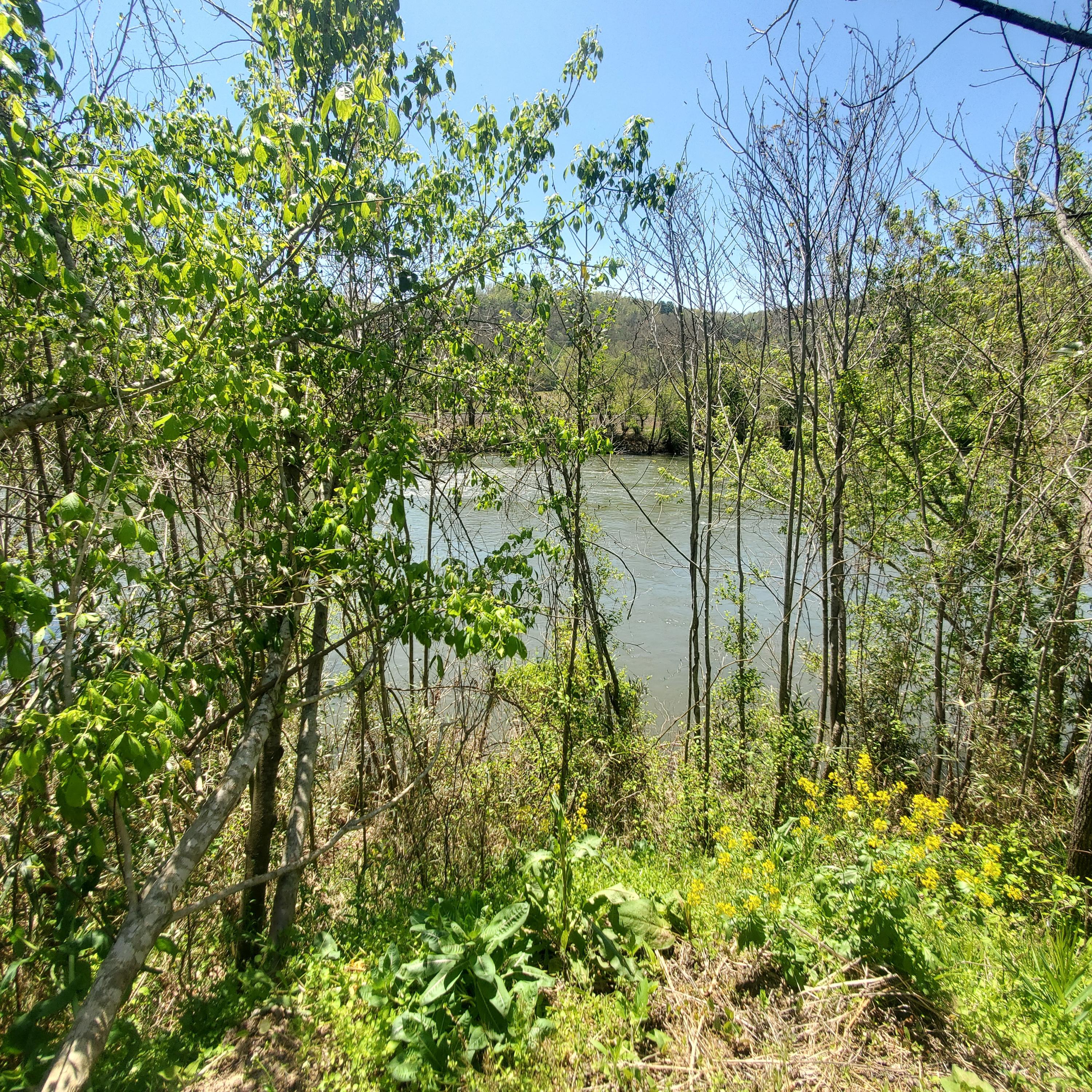 Lot 21 River Rapids Way, Unit 21 Del Rio, TN 37727 - Photo 6 of 32 6