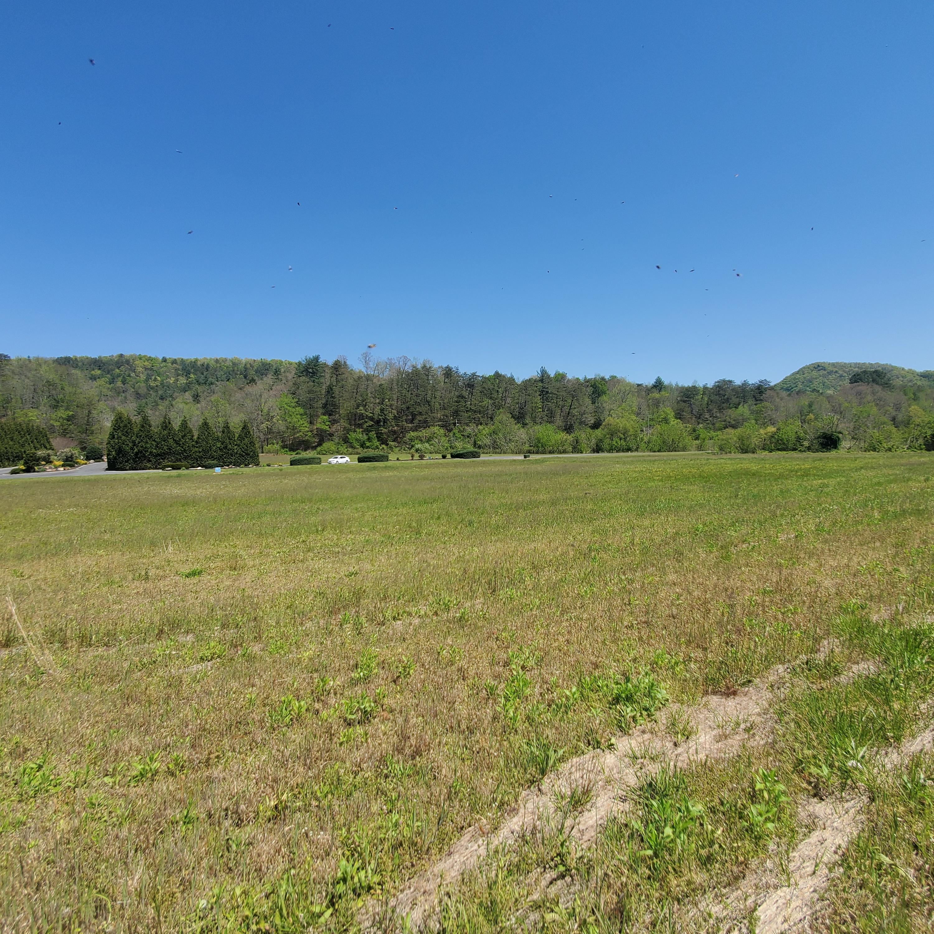 Lot 21 River Rapids Way, Unit 21 Del Rio, TN 37727 - Photo 7 of 32 7