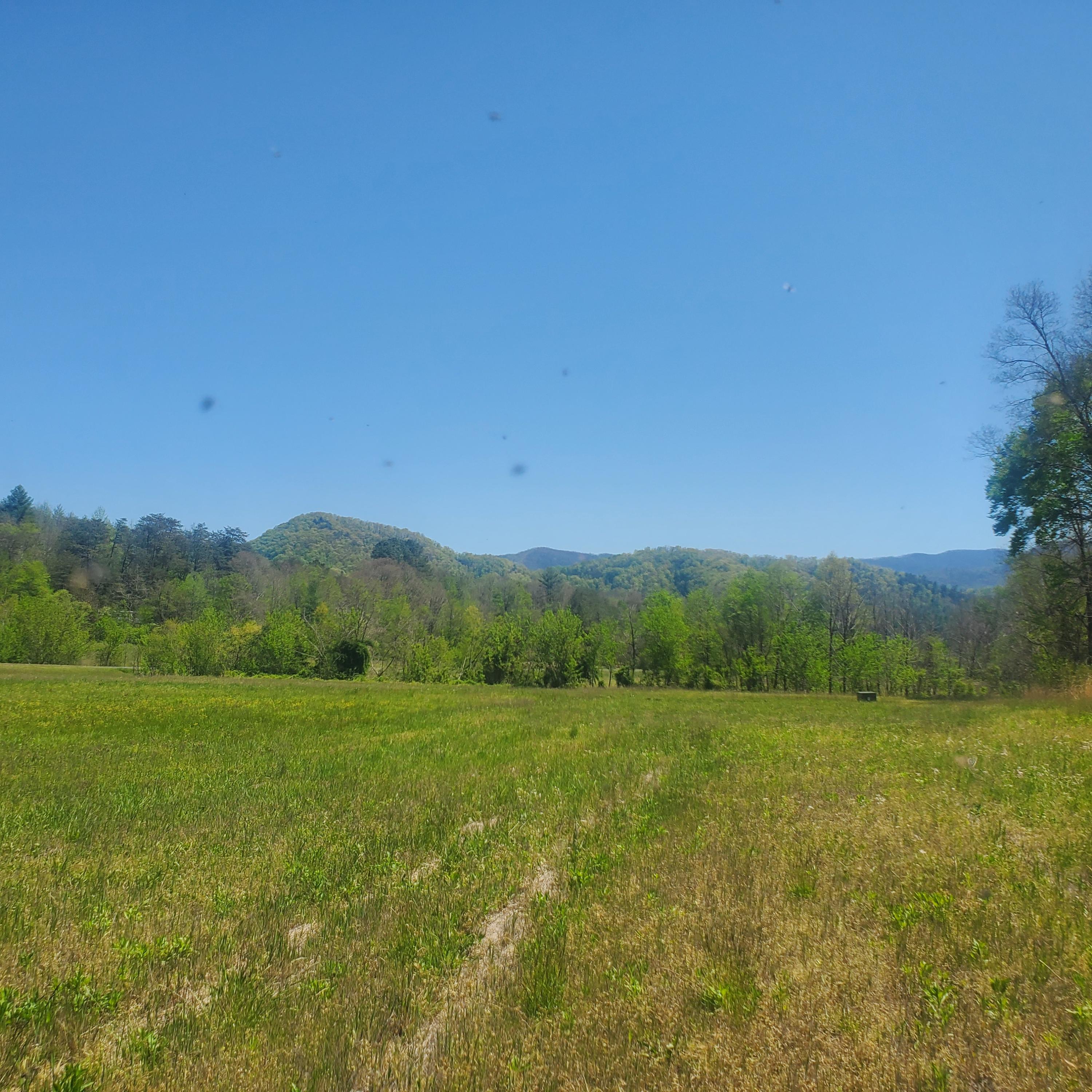 Lot 21 River Rapids Way, Unit 21 Del Rio, TN 37727 - Photo 8 of 32 8