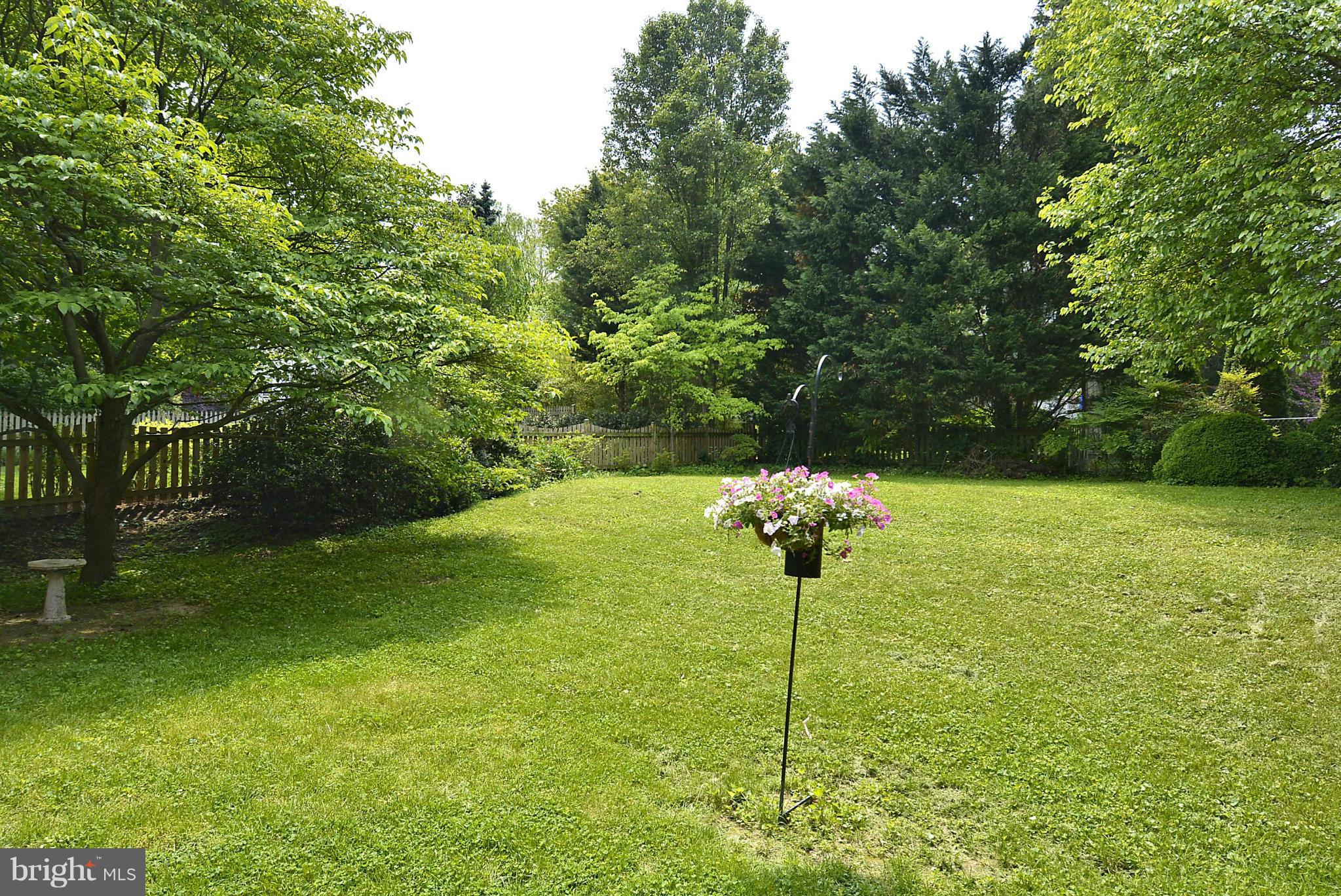 5004 Allan Road Bethesda, MD 20816 - Photo 26 of 30 a vase of flowers sitting next to a yard