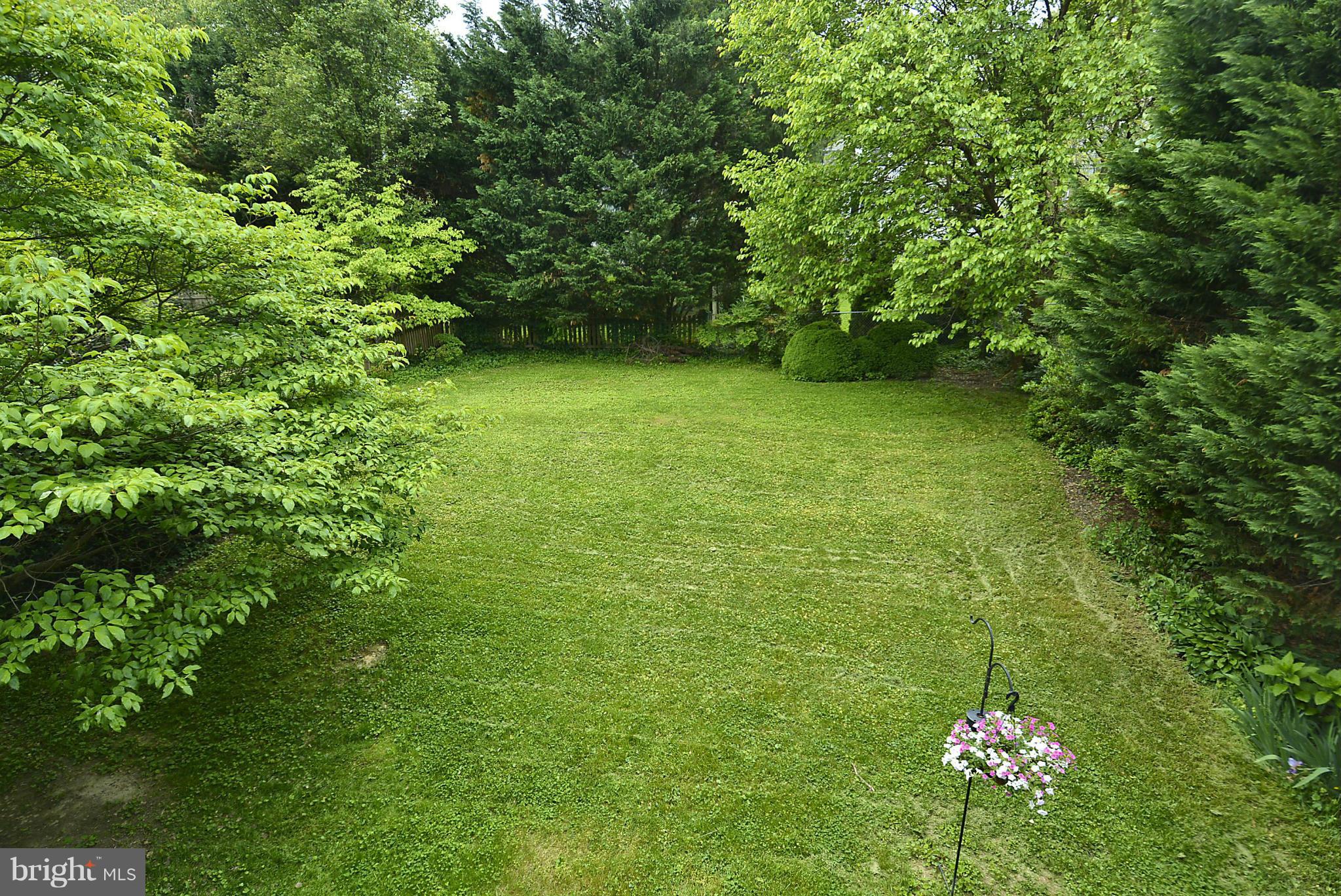 5004 Allan Road Bethesda, MD 20816 - Photo 27 of 30 a view of a garden