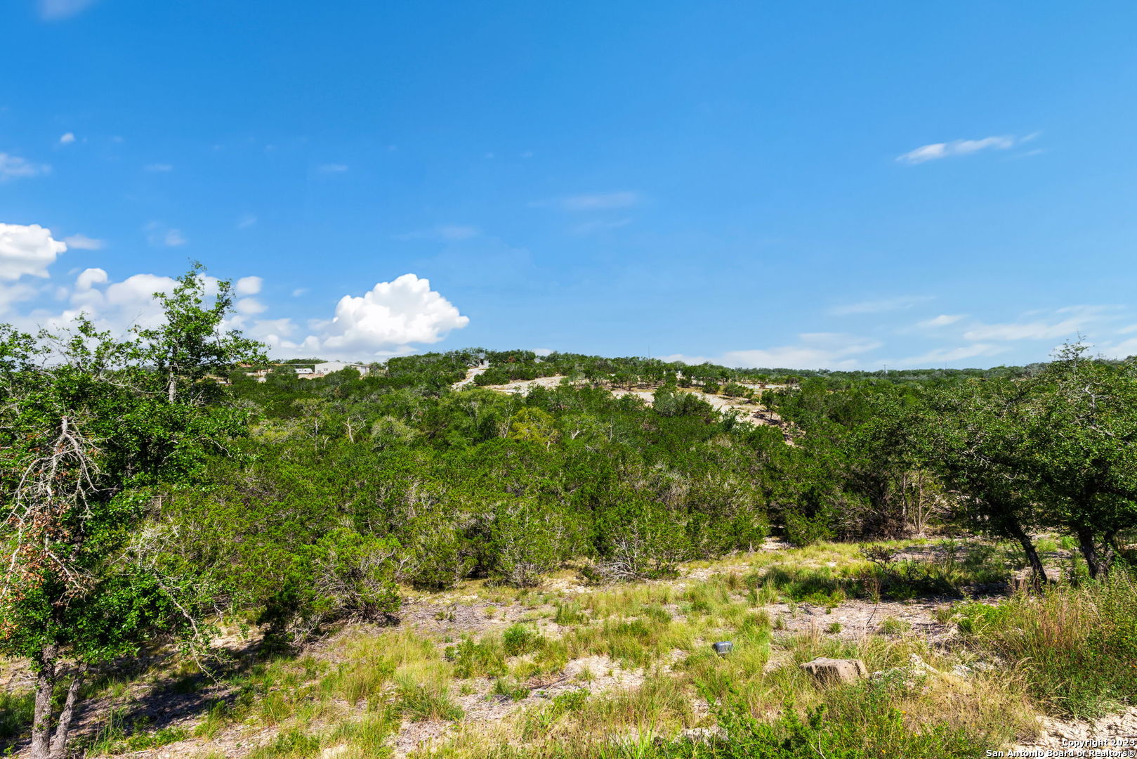 472 Stallion Estates Drive Spring Branch, TX 78070 - Photo 5 of 18