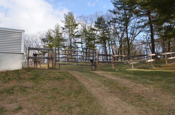 15 Bay Path Road Belchertown, MA 01007 - Photo 29 of 30 a view of outdoor space with garden