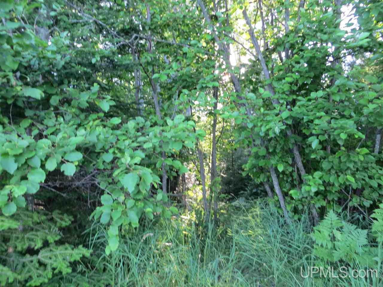 Tbd Marzal Road Lanse, MI 49946 - Photo 20 of 22 Gallery Image 20