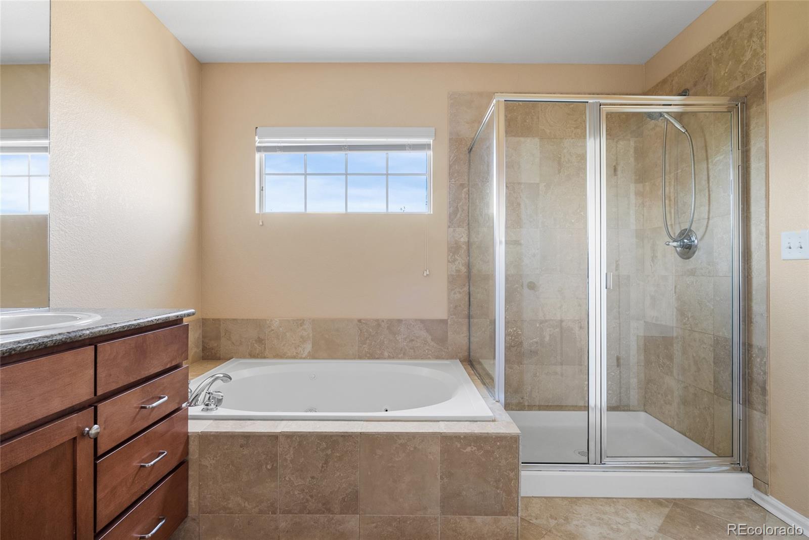 23149 Timber Spring Lane Parker, CO 80138 - Photo 22 of 49