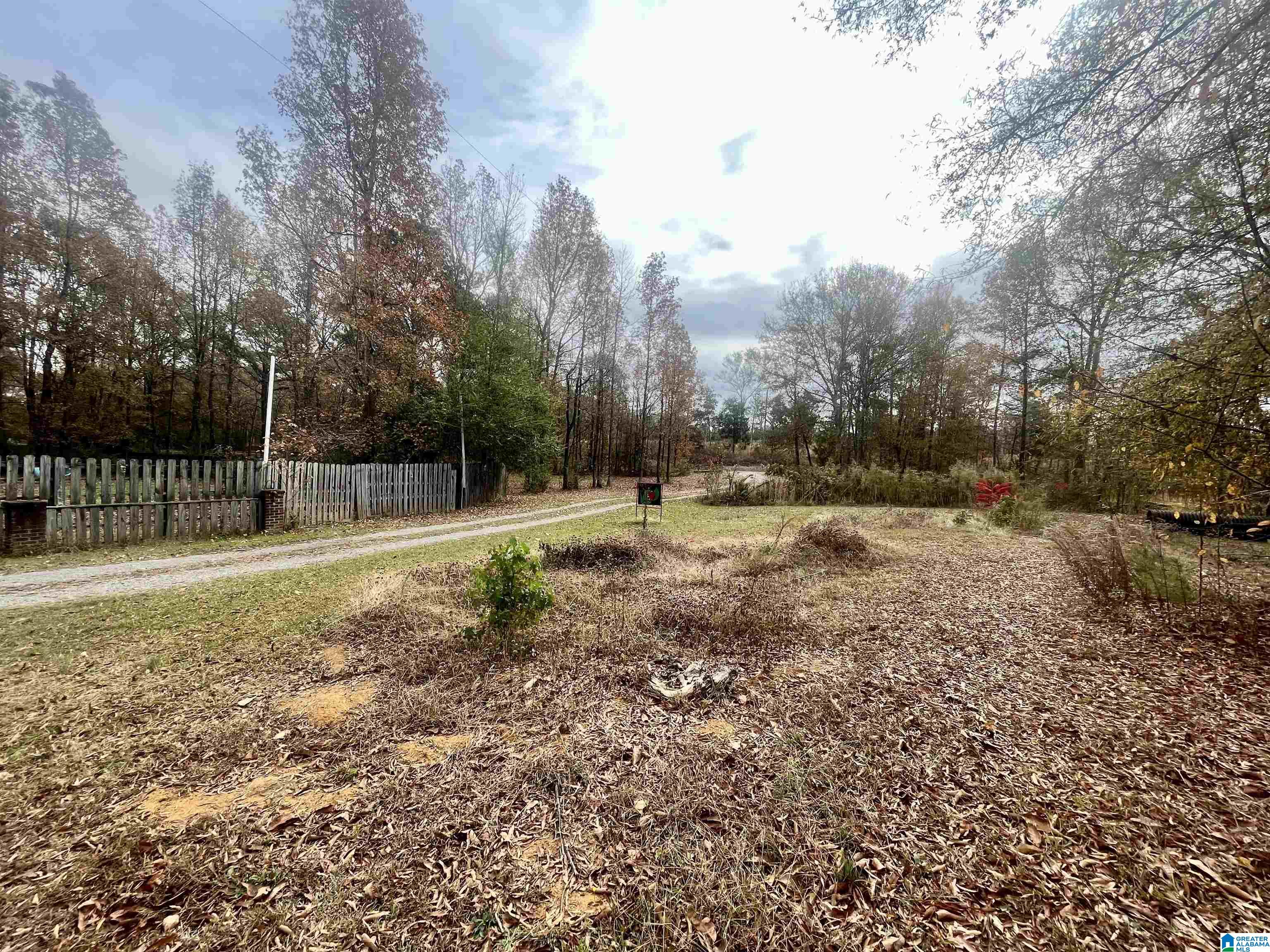 1010 Campbell Road Munford, AL 36268 - Photo 50 of 56