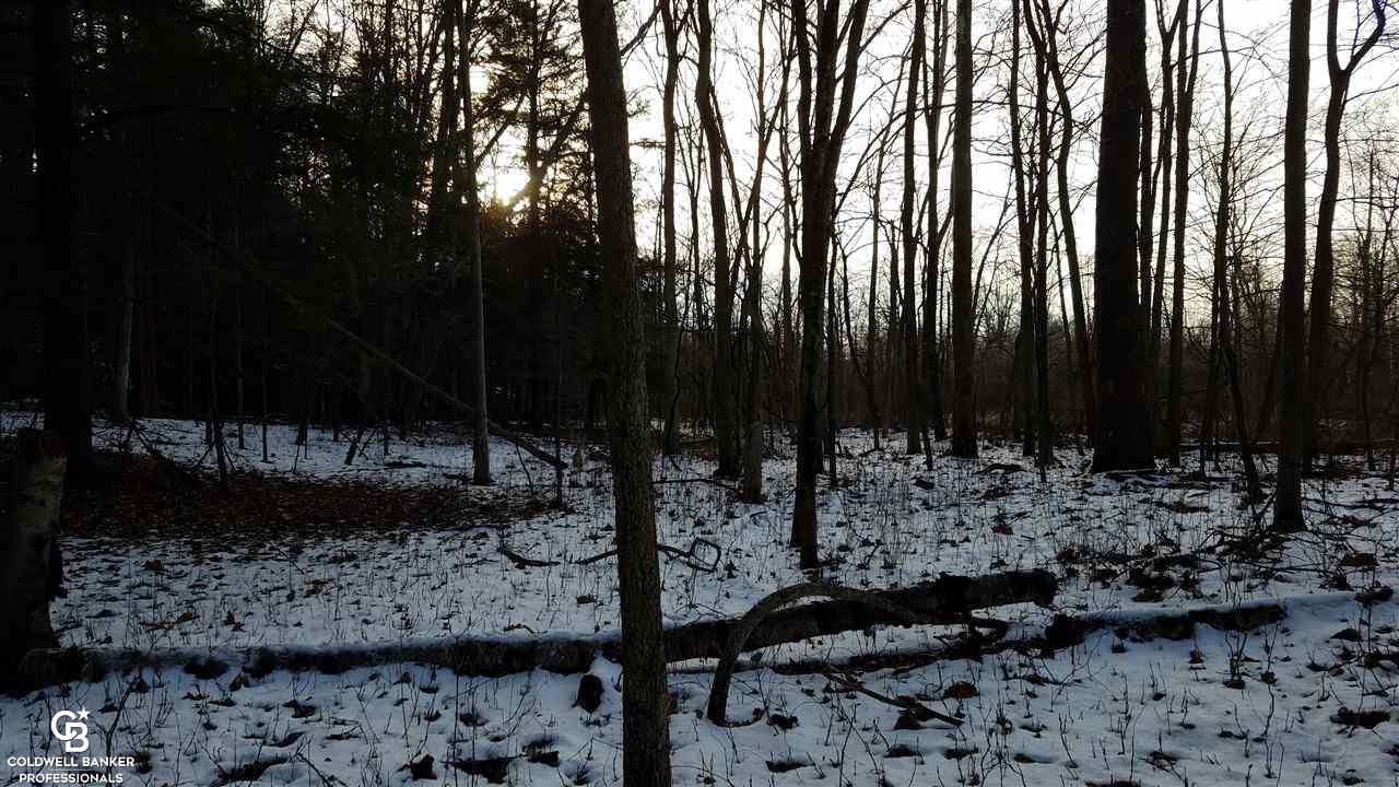 4691 Cribbins Road Avoca, MI 48006 - Photo 30 of 42