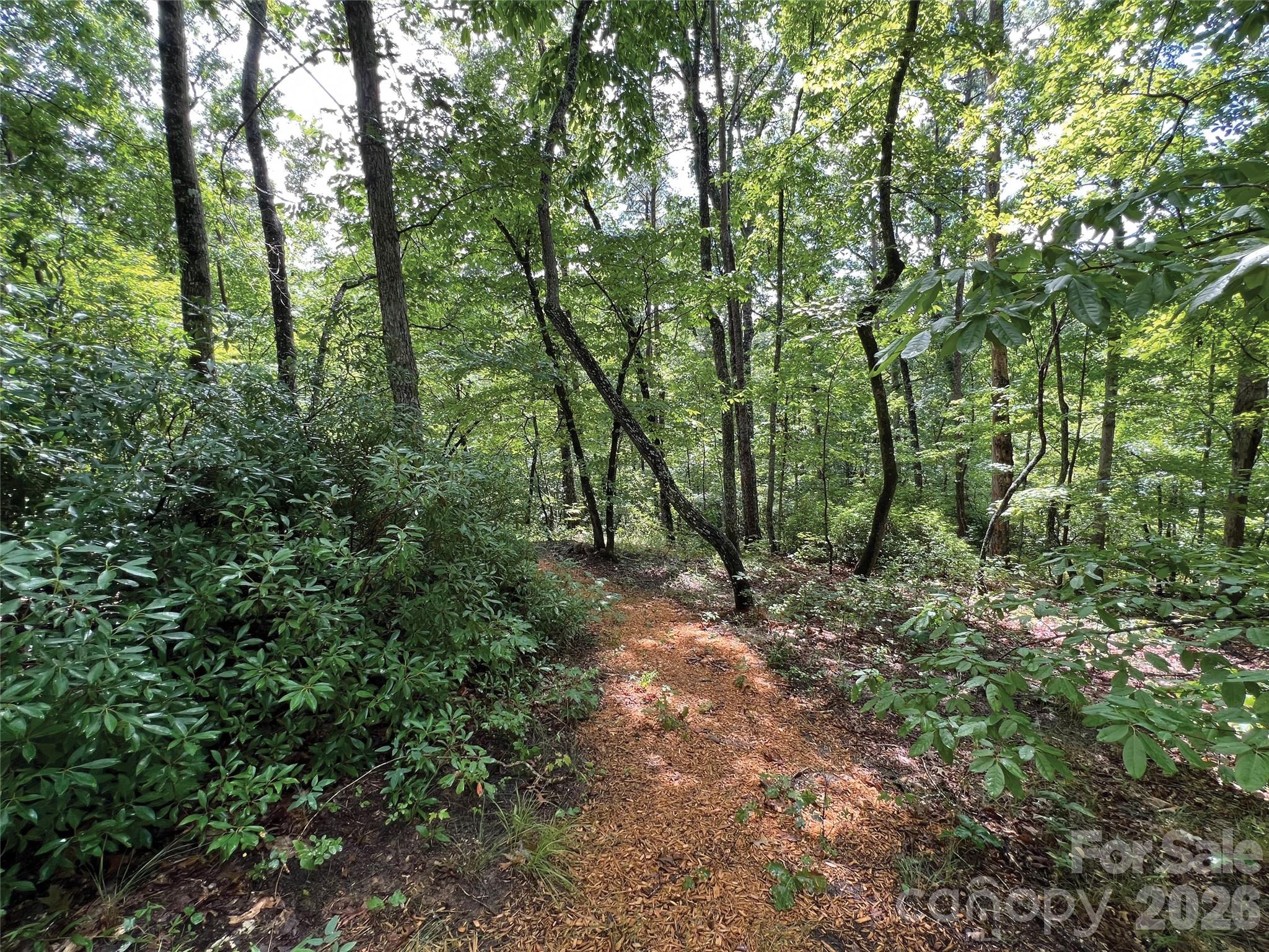 0 Shady Bark Lane, Unit 43 & #44 Rutherfordton, NC 28139 - Photo 27 of 38