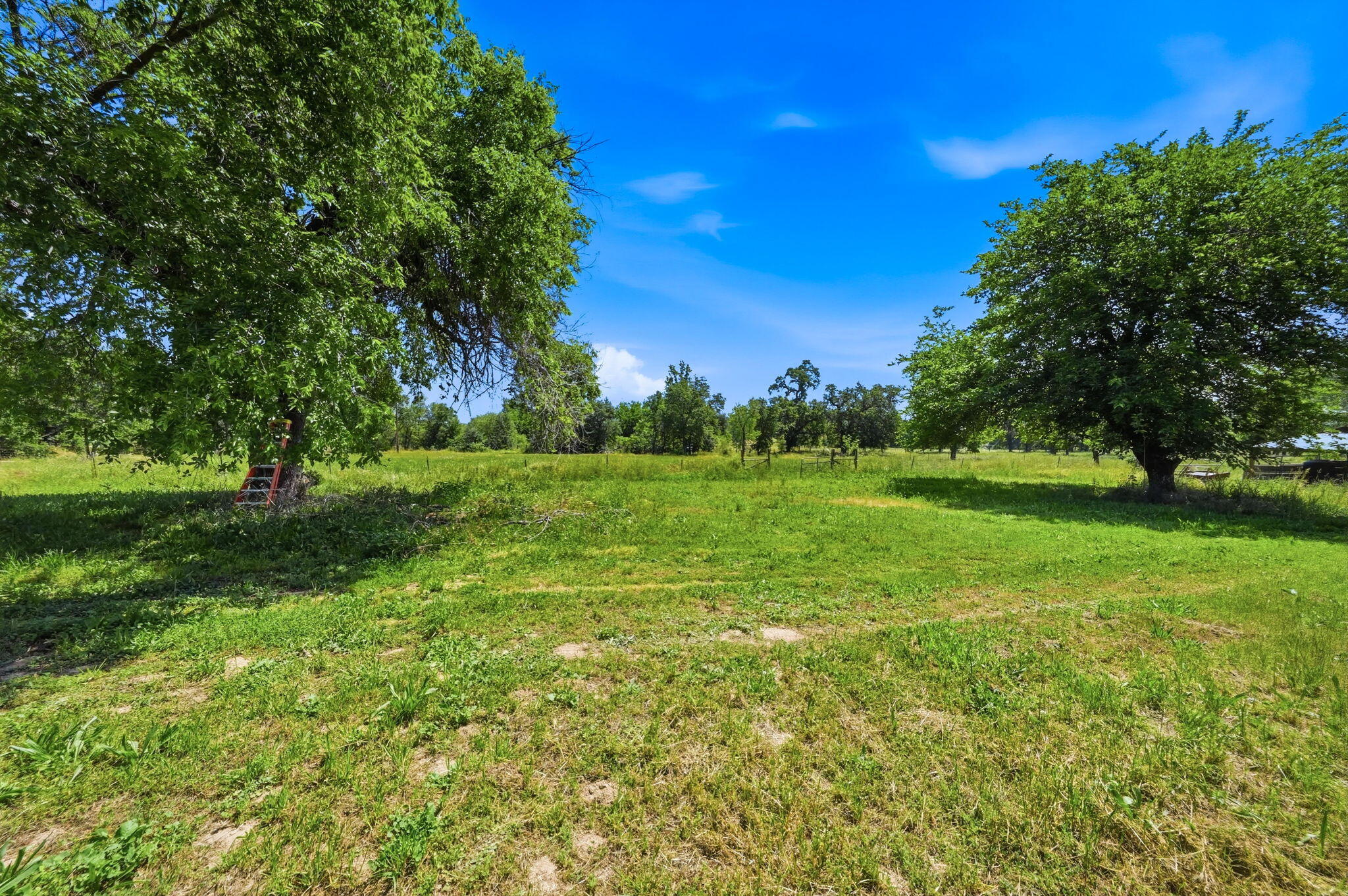 21897 Robledo Road Palo Cedro, CA 96073 - Photo 2 of 55 34-web-or-mls-IMG-34