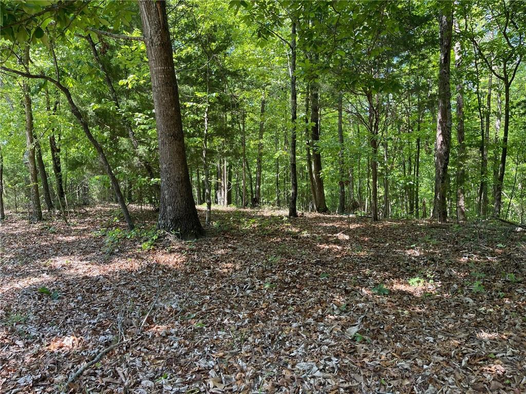 1 A Chalcrest Way Cave Spring, GA 30124 - Photo 4 of 54 Gallery Image 4