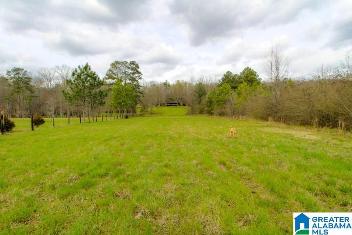 2391 Lock 3 Road Ragland, AL 35131 - Photo 30 of 37