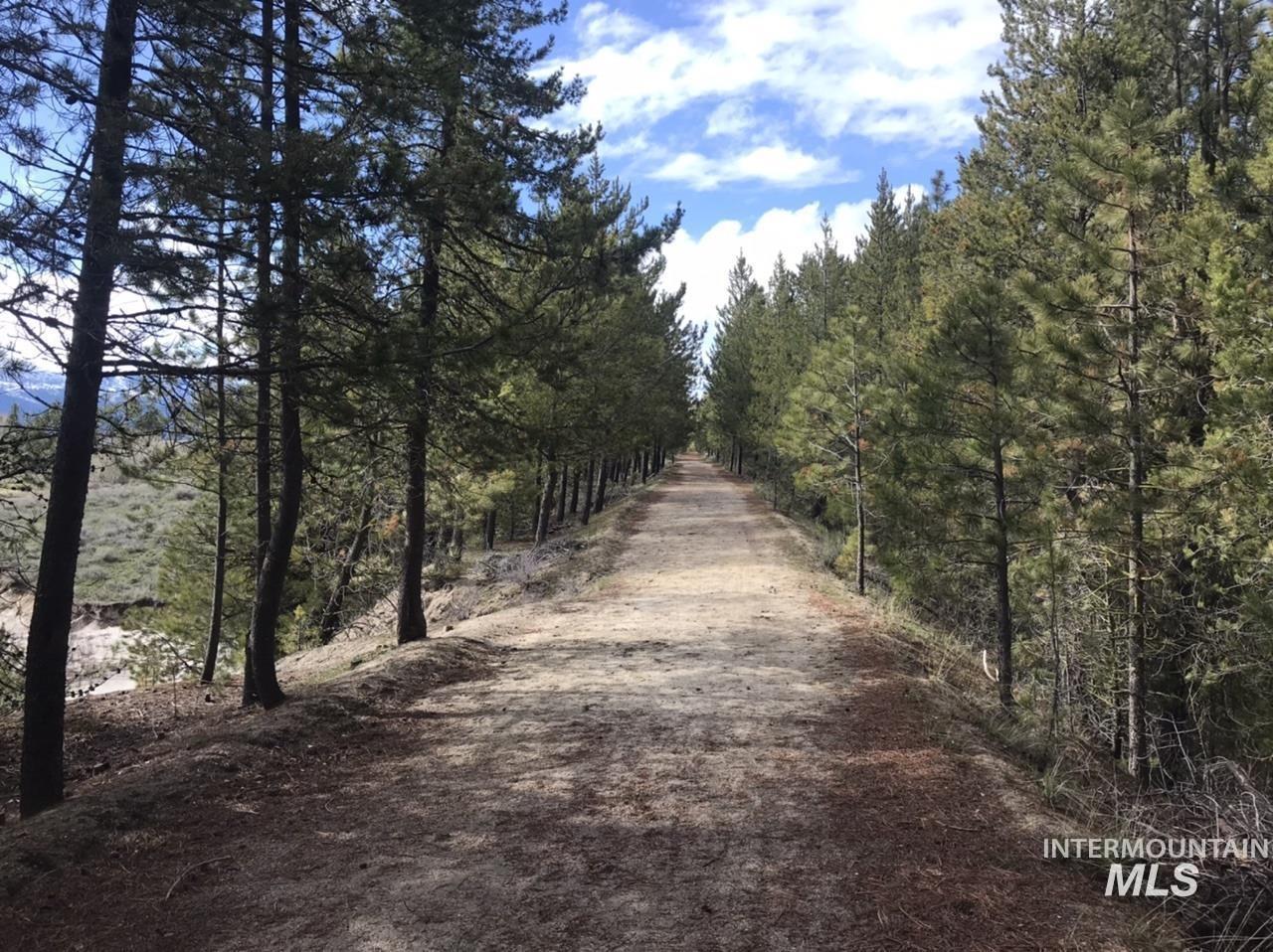 21 Melonie Loop Cascade, ID 83611 - Photo 24 of 27 Tree-lined pathway with a natural ground surface