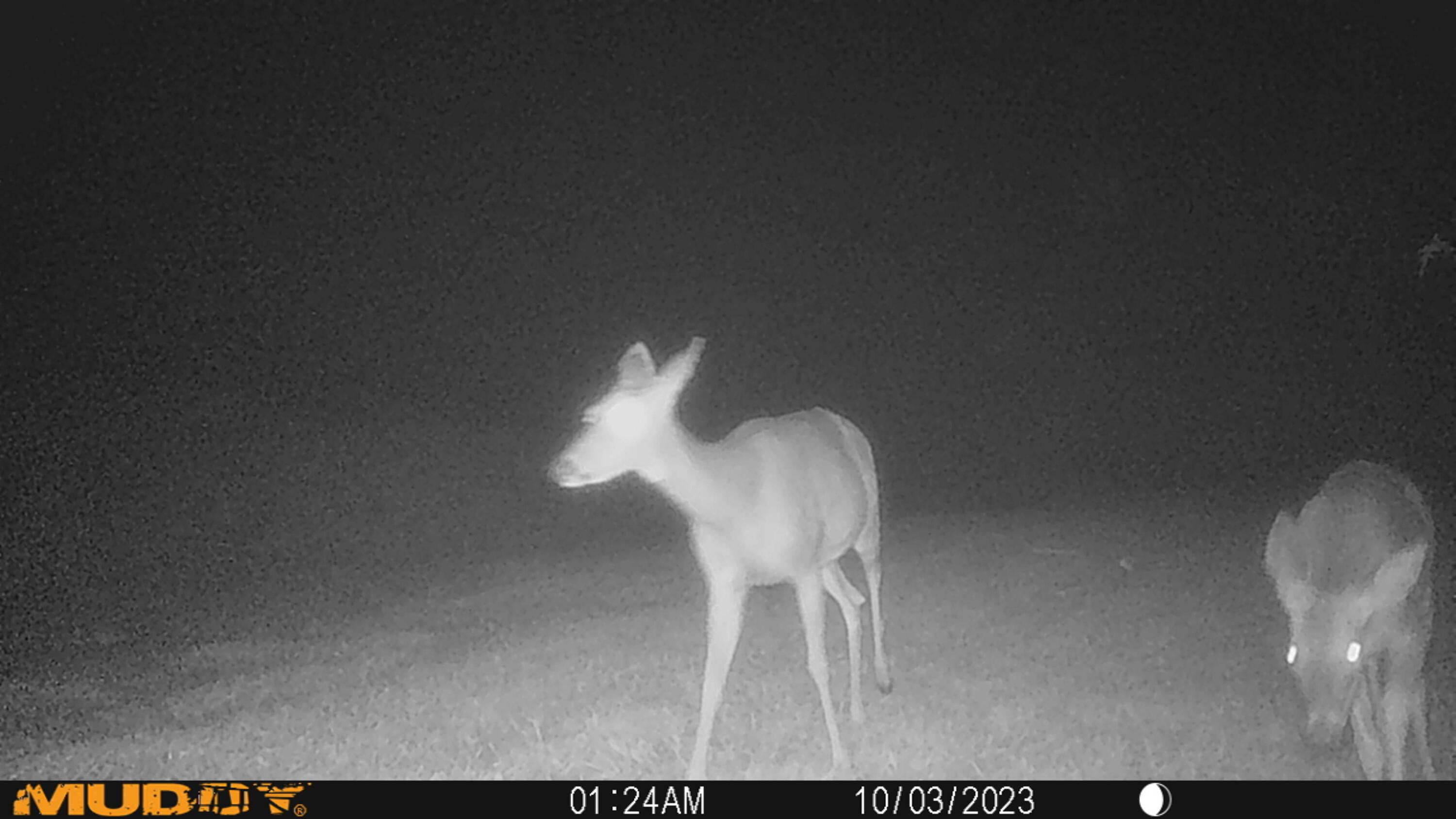 1214 Sears Road Somerset, KY 42501 - Photo 66 of 71 MUD_4364