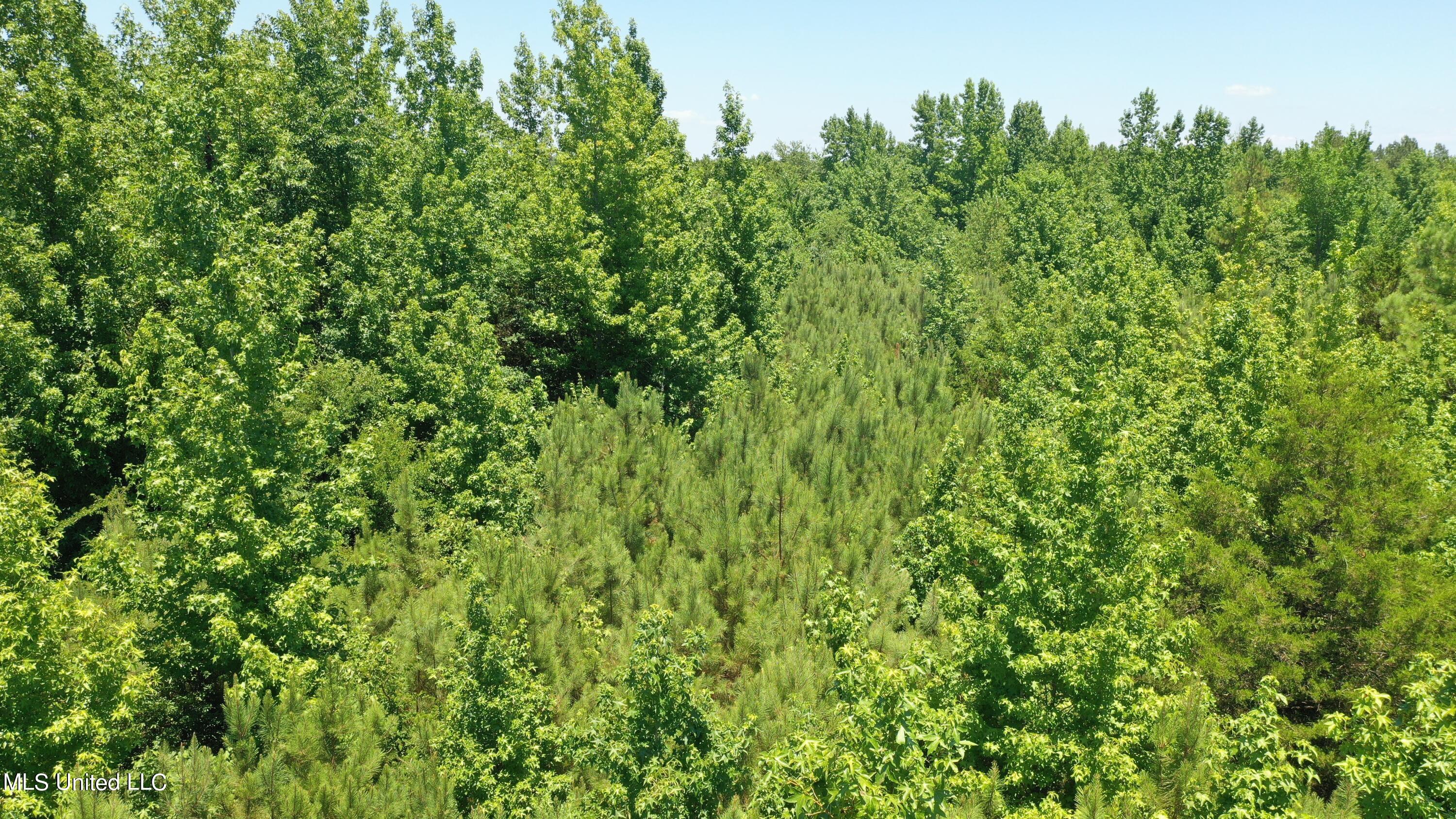 2000 Isom Chapel Road Lamar, MS 38642 - Photo 11 of 15 DJI_0641