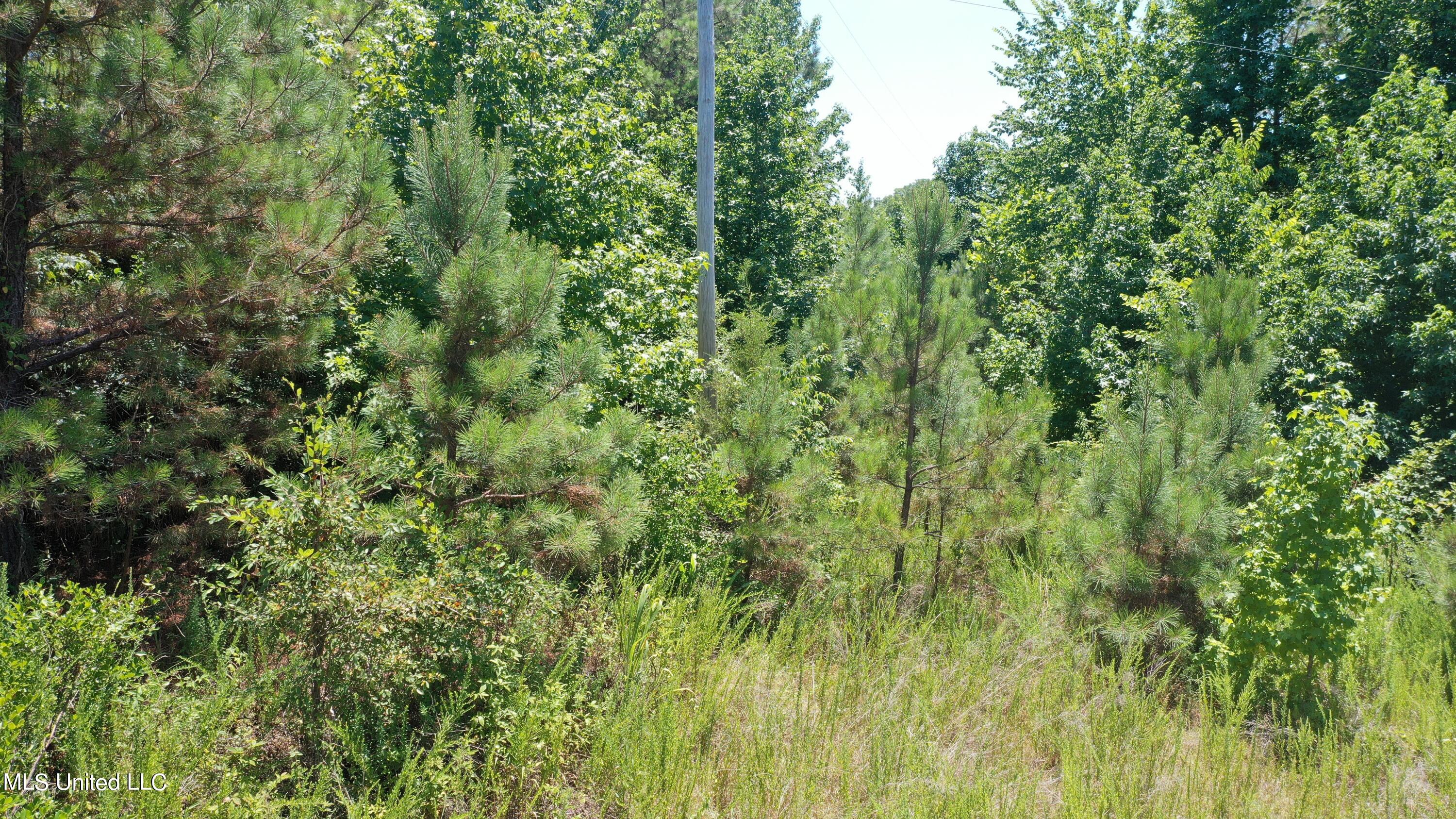 2000 Isom Chapel Road Lamar, MS 38642 - Photo 12 of 15 DJI_0645