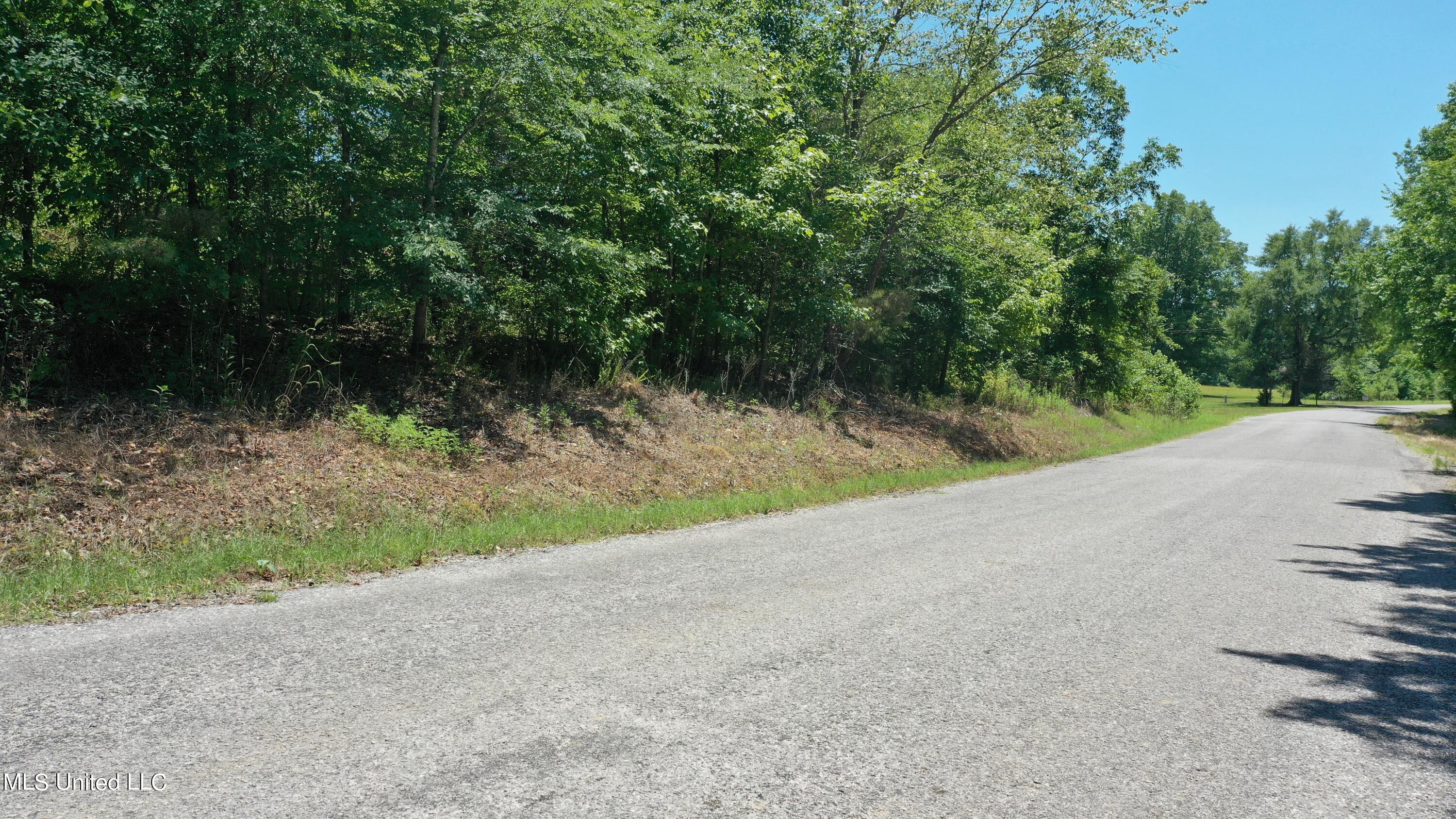 2000 Isom Chapel Road Lamar, MS 38642 - Photo 13 of 15 DJI_0658