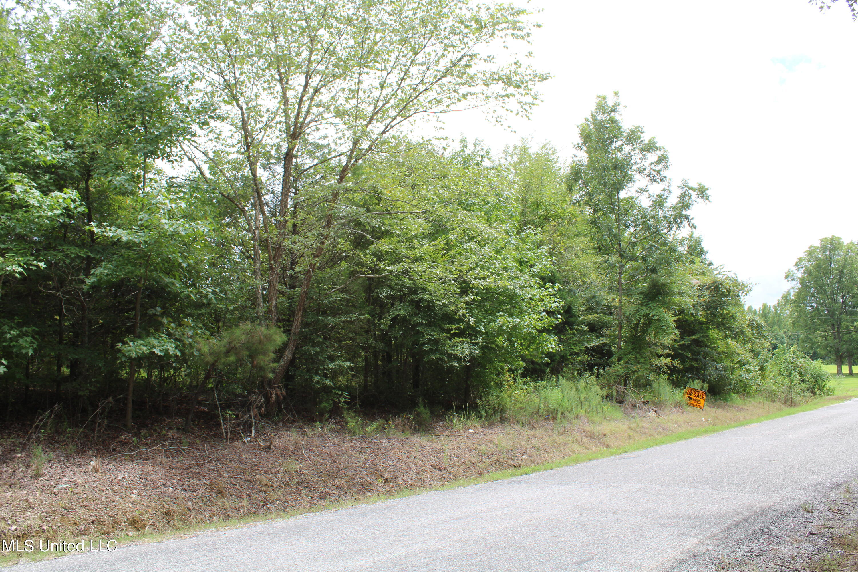2000 Isom Chapel Road Lamar, MS 38642 - Photo 14 of 15 IMG_9995