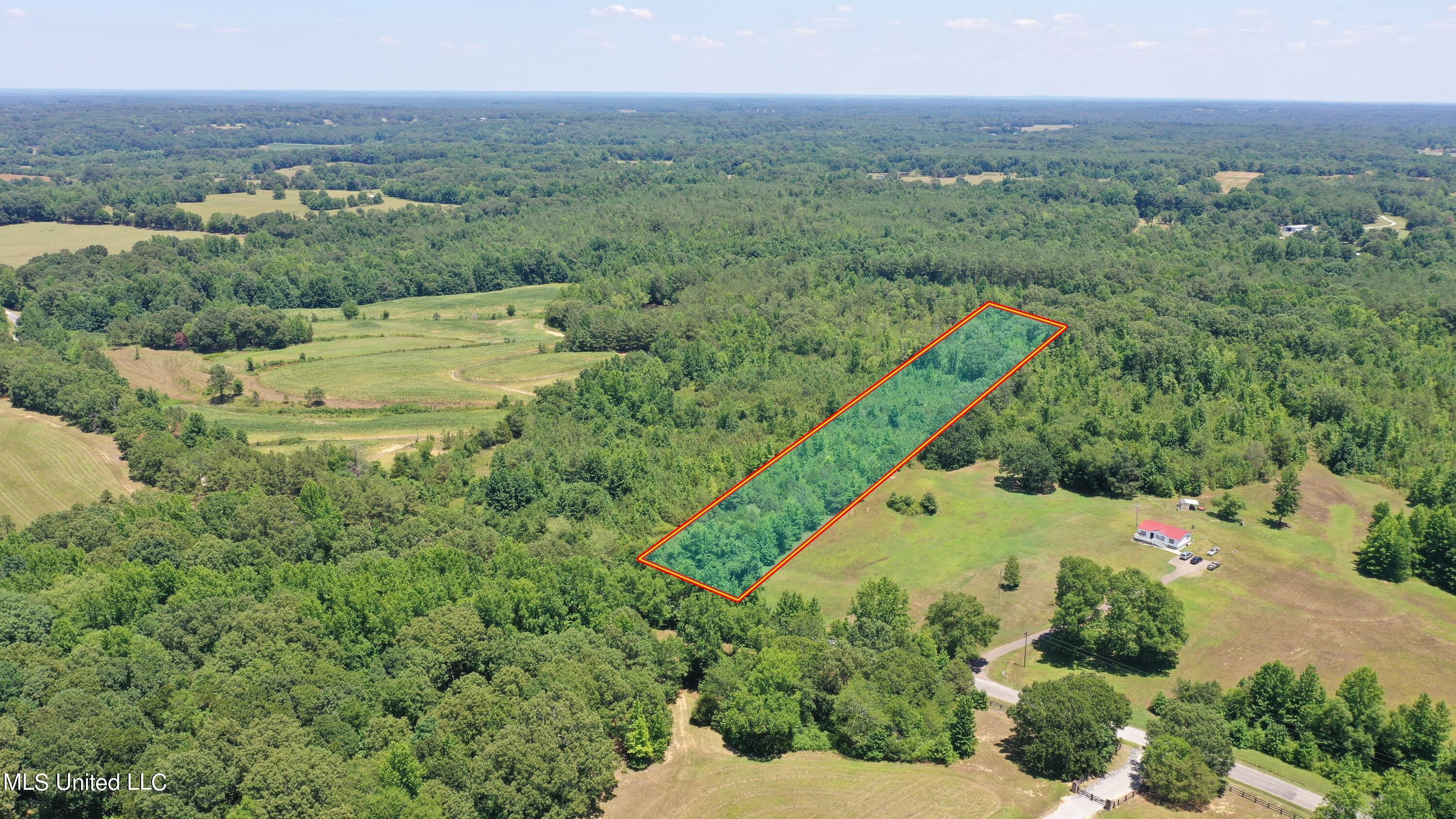 2000 Isom Chapel Road Lamar, MS 38642 - Photo 15 of 15 Lines 2 (1)