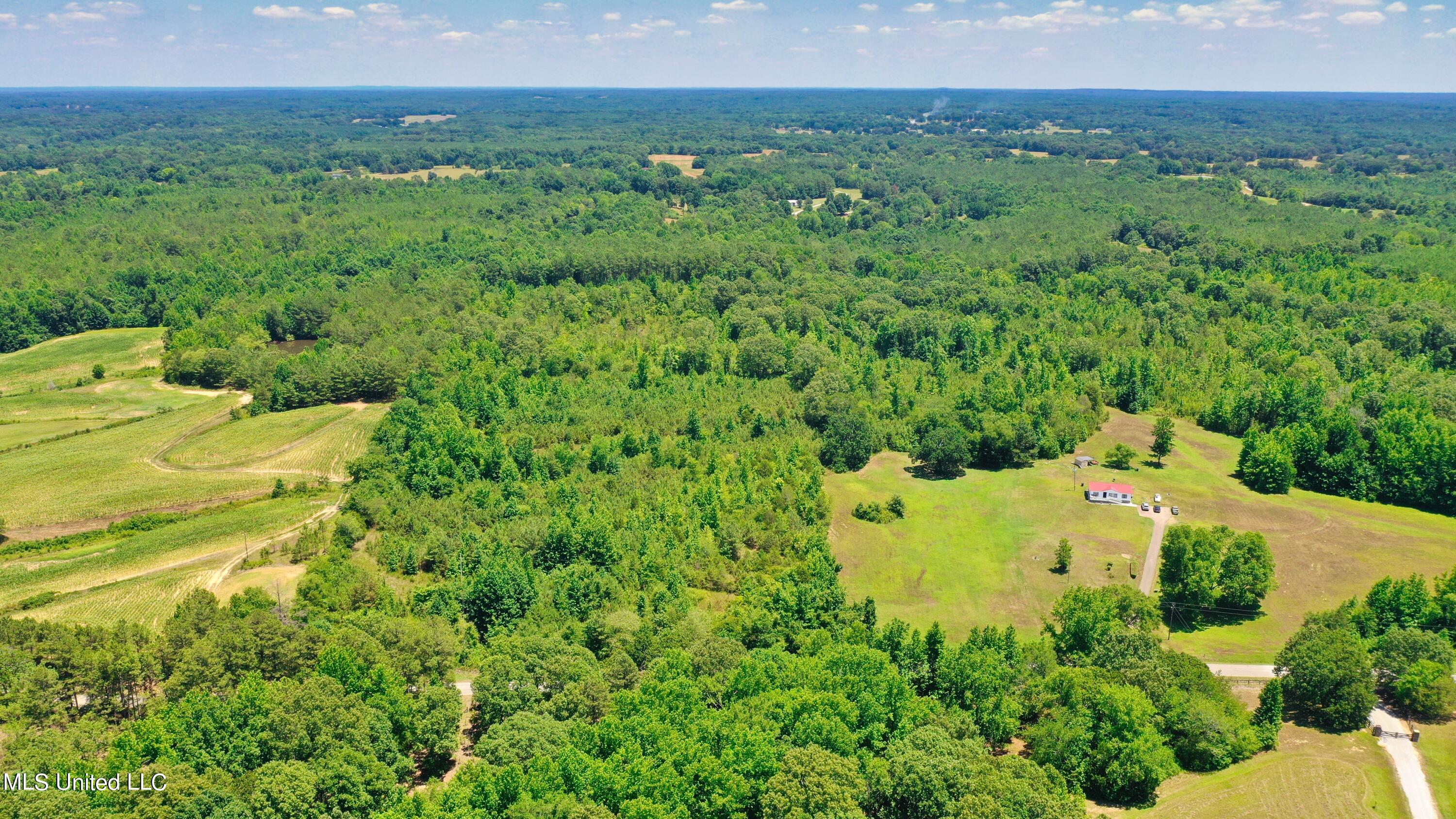 2000 Isom Chapel Road Lamar, MS 38642 - Photo 2 of 15 DJI_0610