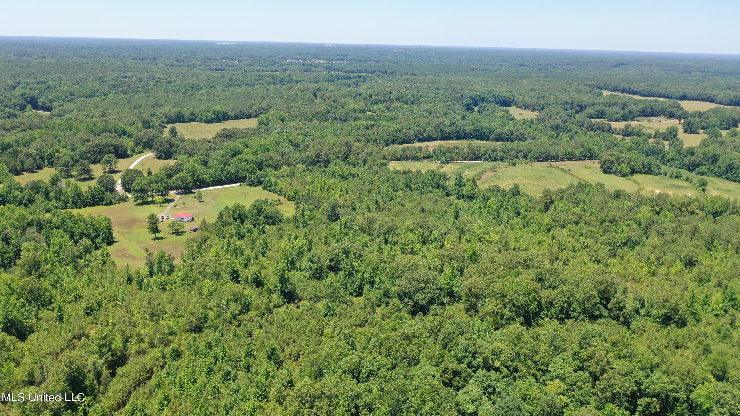 2000 Isom Chapel Road Lamar, MS 38642 - Photo 3 of 15 DJI_0613