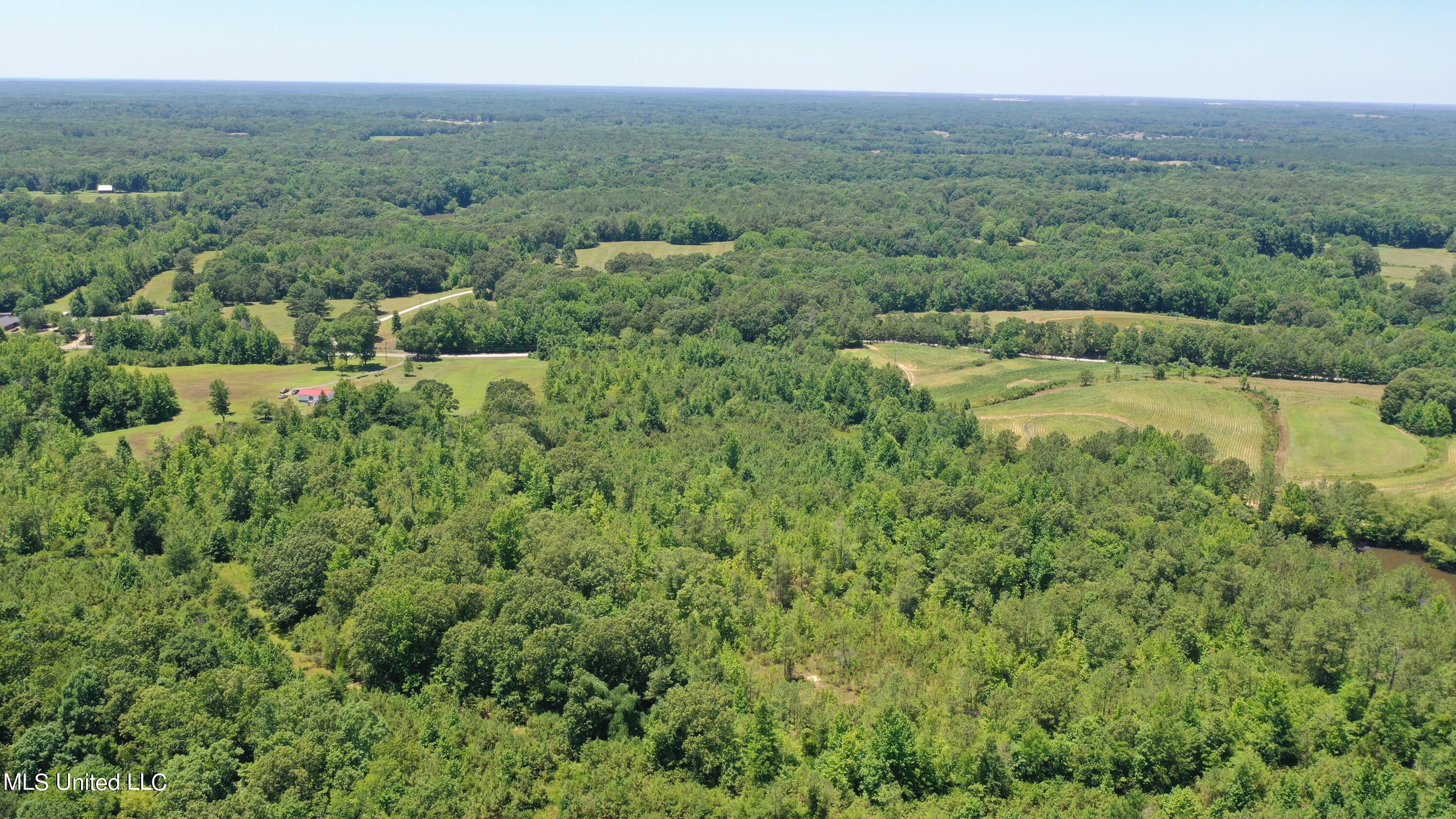 2000 Isom Chapel Road Lamar, MS 38642 - Photo 4 of 15 DJI_0614