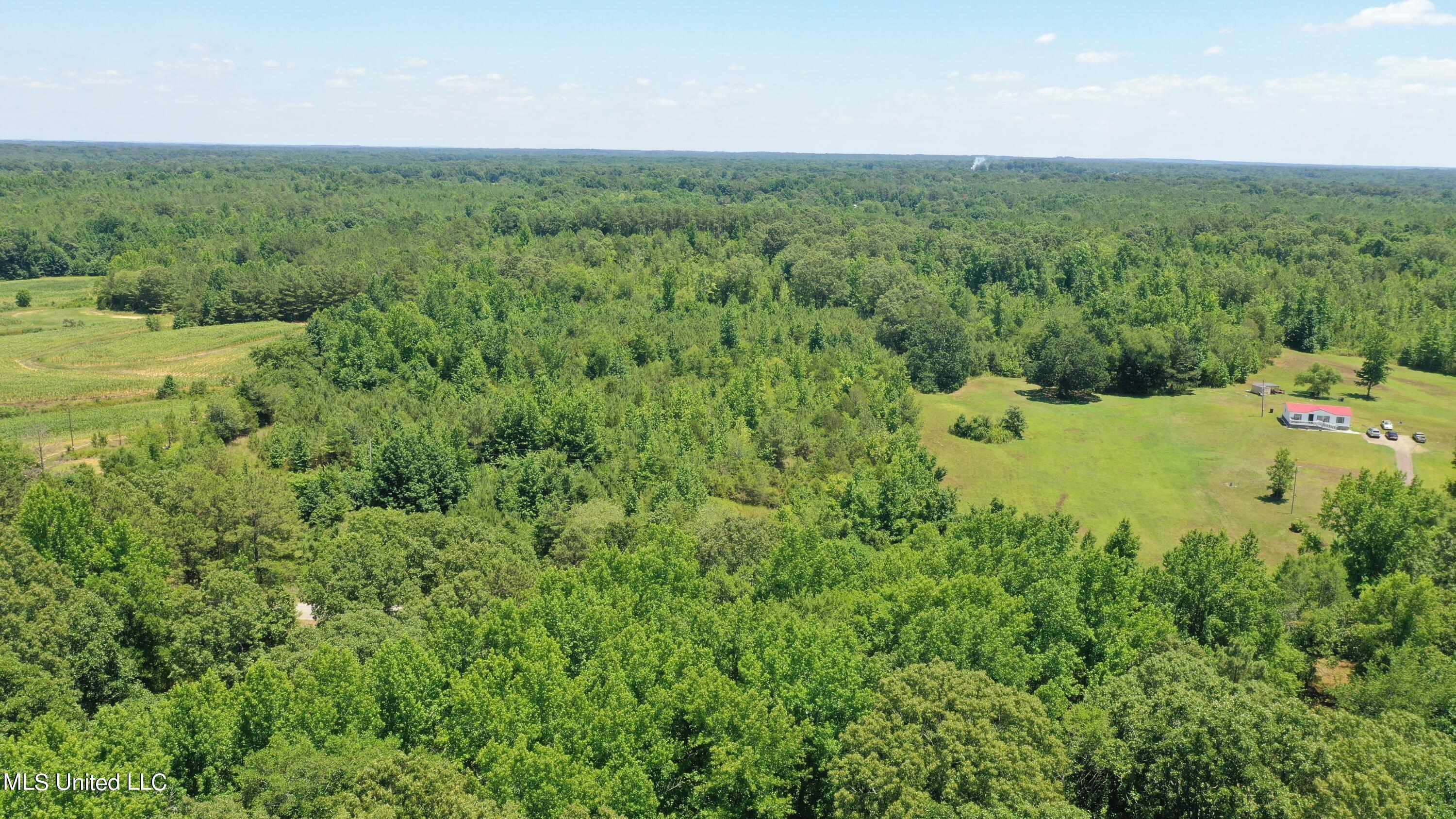 2000 Isom Chapel Road Lamar, MS 38642 - Photo 5 of 15 DJI_0620