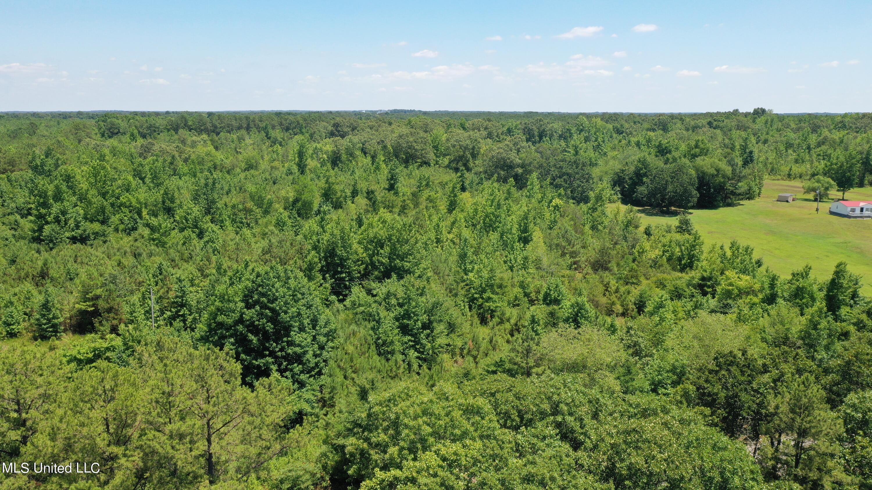 2000 Isom Chapel Road Lamar, MS 38642 - Photo 6 of 15 DJI_0626