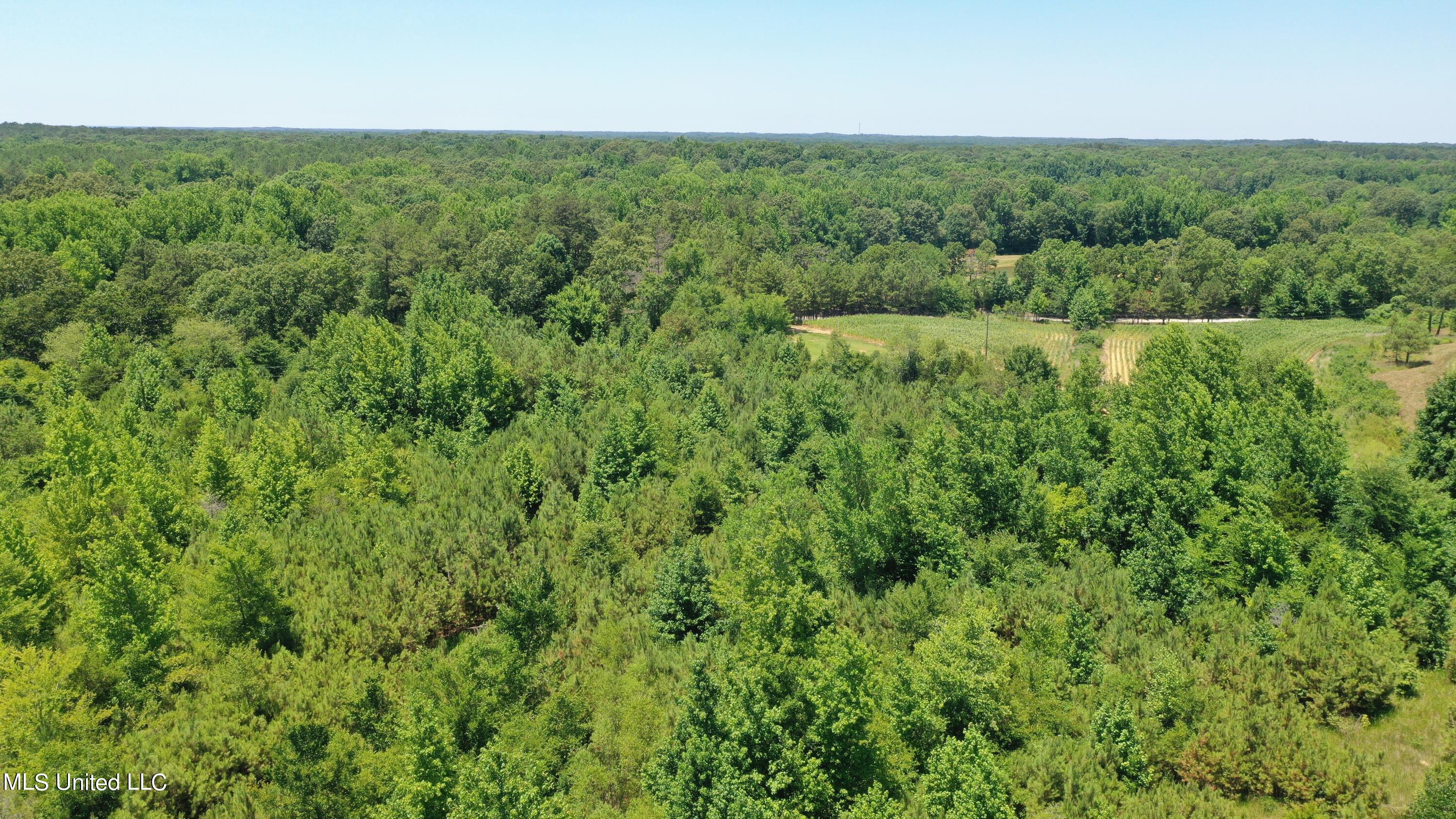 2000 Isom Chapel Road Lamar, MS 38642 - Photo 7 of 15 DJI_0634