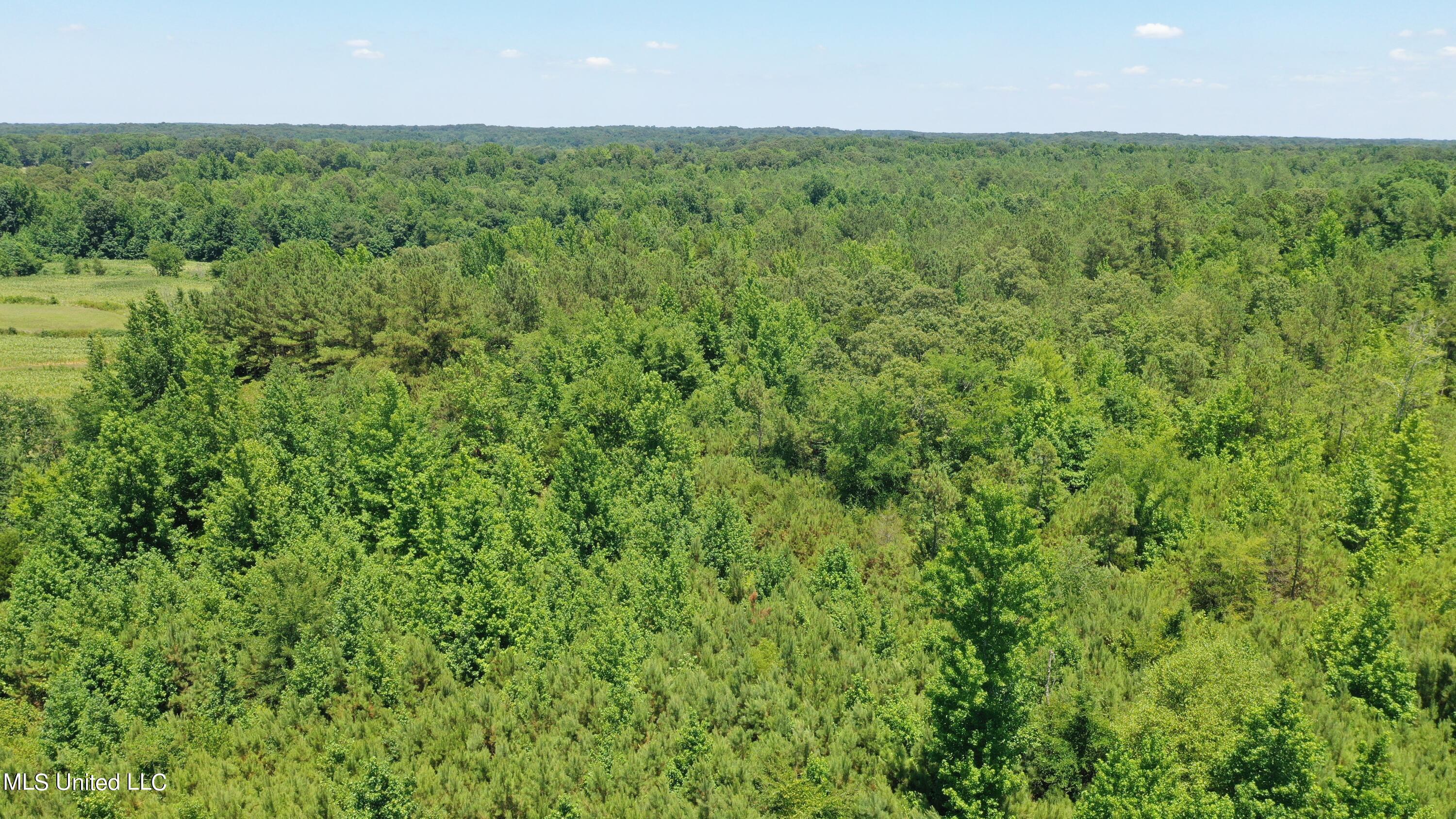 2000 Isom Chapel Road Lamar, MS 38642 - Photo 8 of 15 DJI_0636