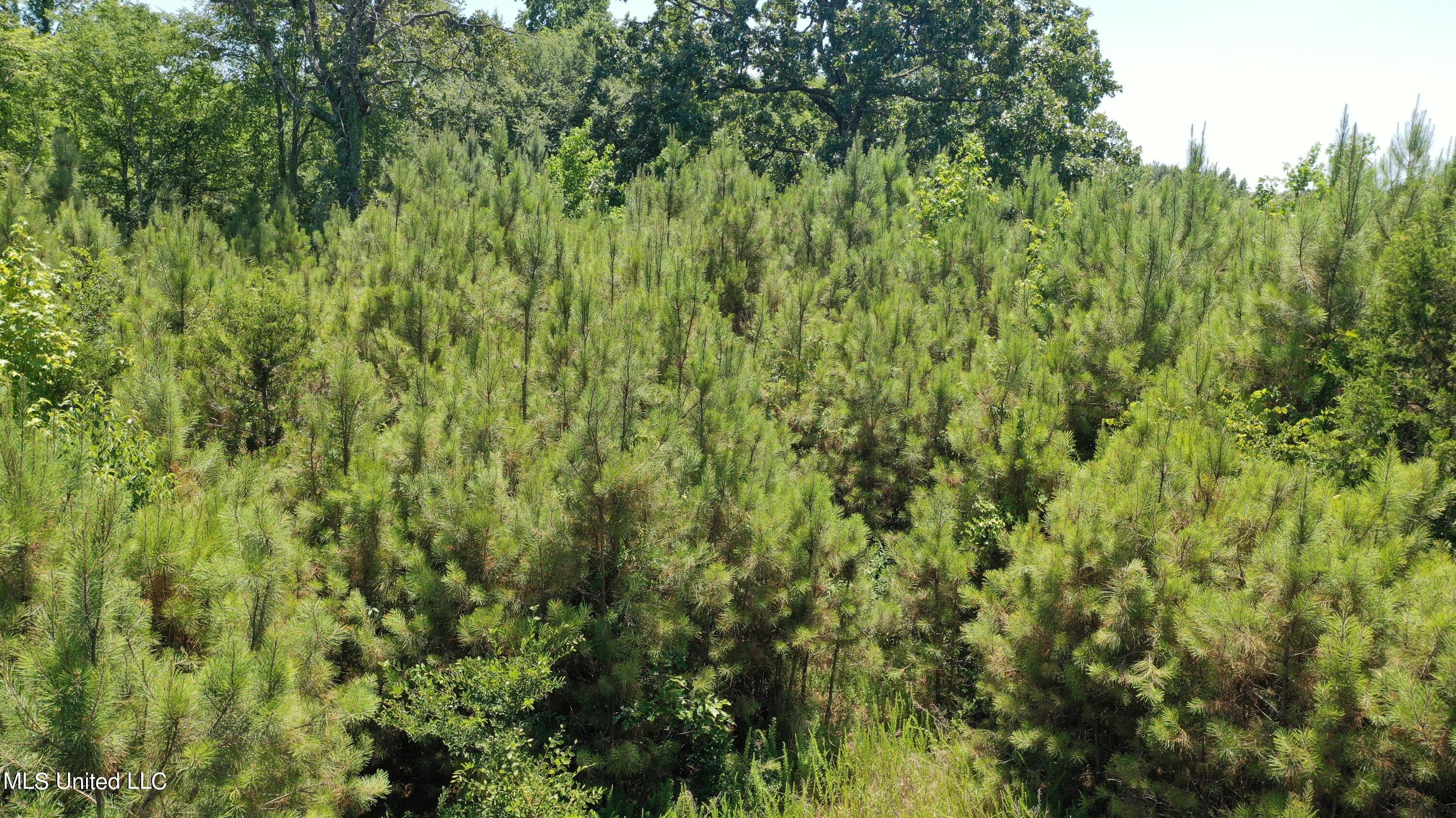 2000 Isom Chapel Road Lamar, MS 38642 - Photo 9 of 15 DJI_0639