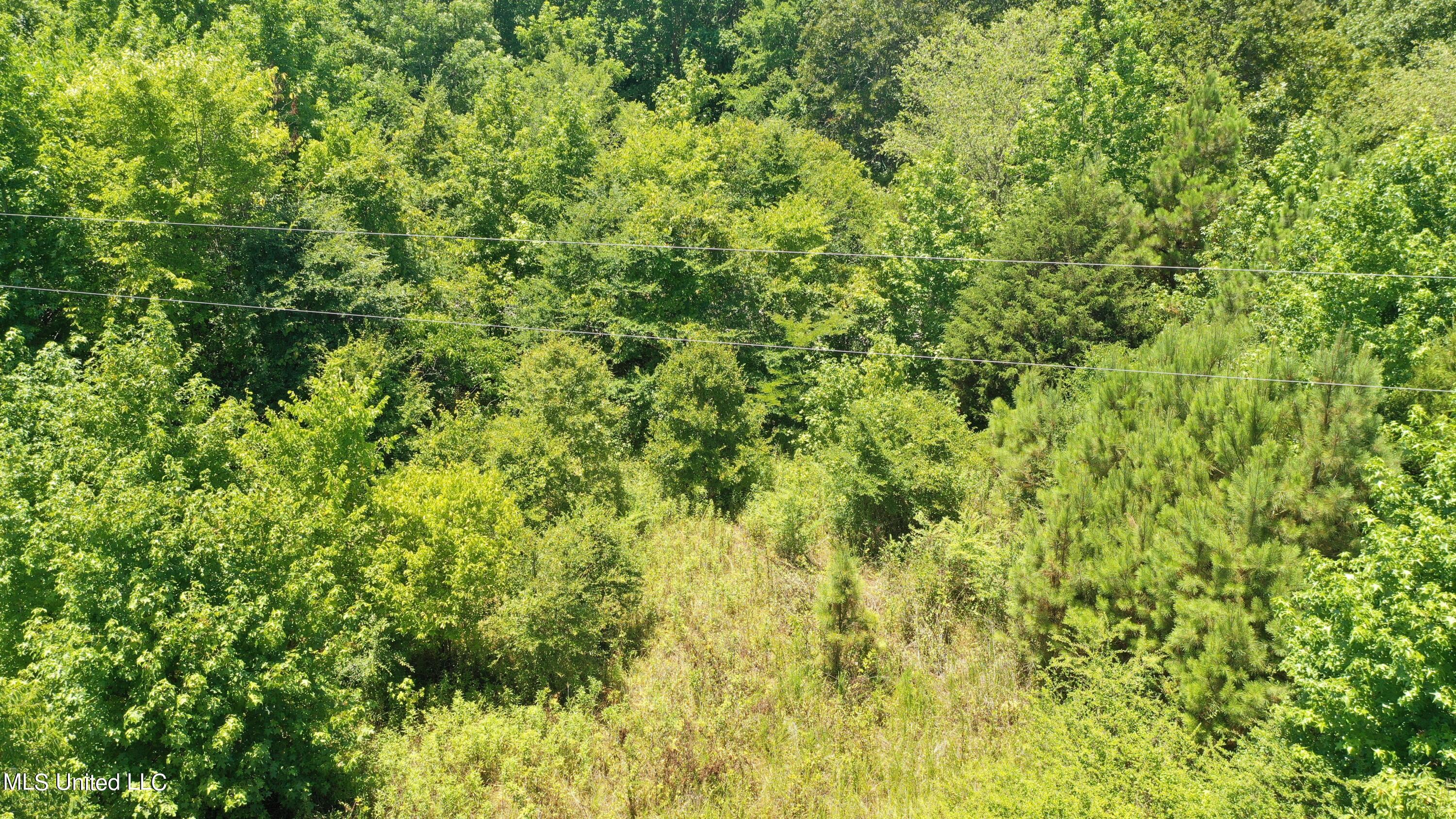 2000 Isom Chapel Road Lamar, MS 38642 - Photo 10 of 15 DJI_0640