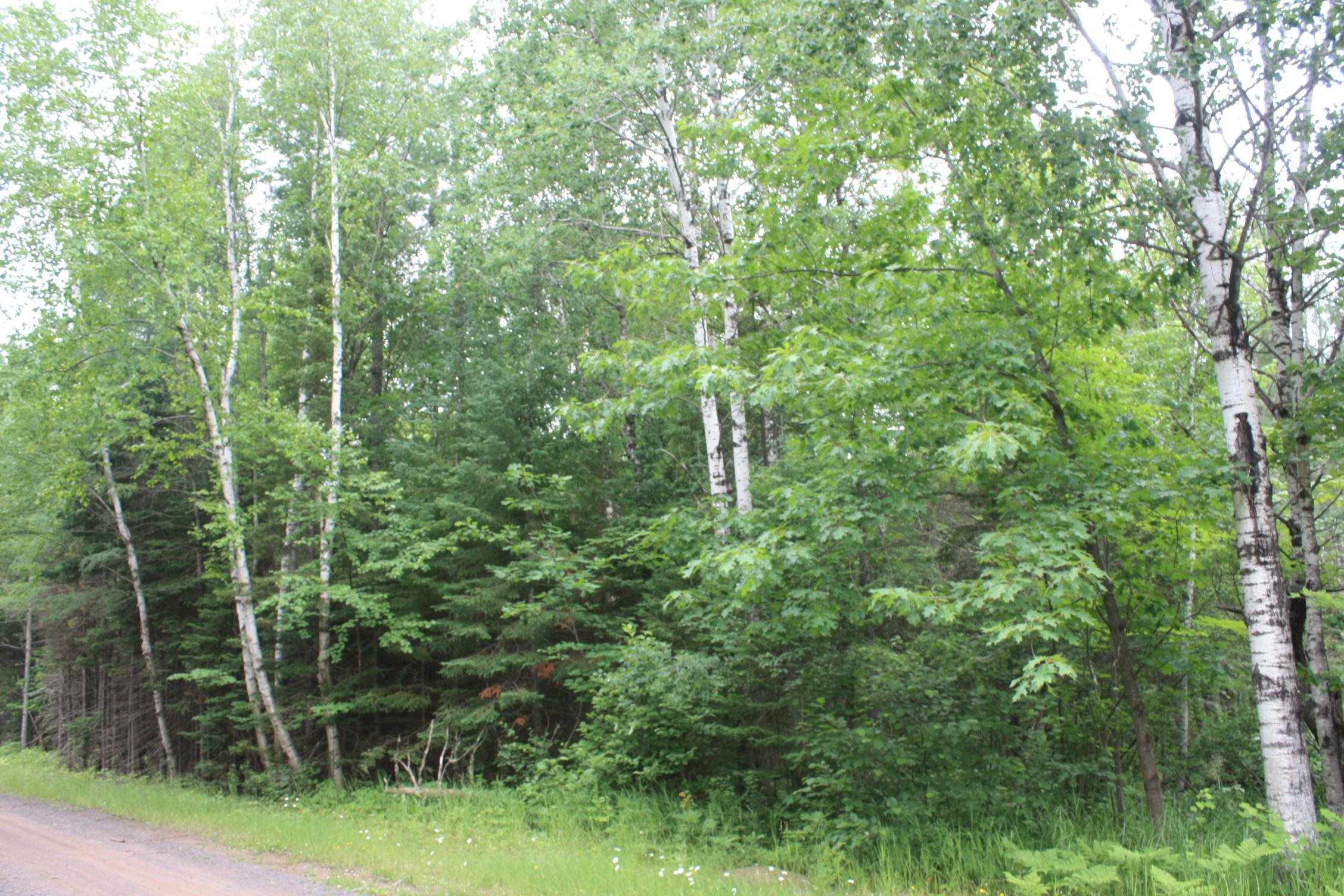 51-xx Olson Road Maple, WI 54854 - Photo 3 of 7